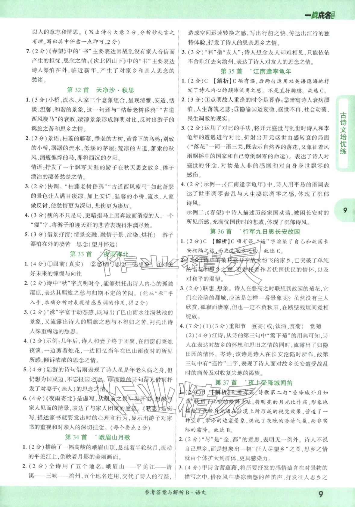 2026年纯练版总复习九年级语文全一册人教版&nbsp;第9页