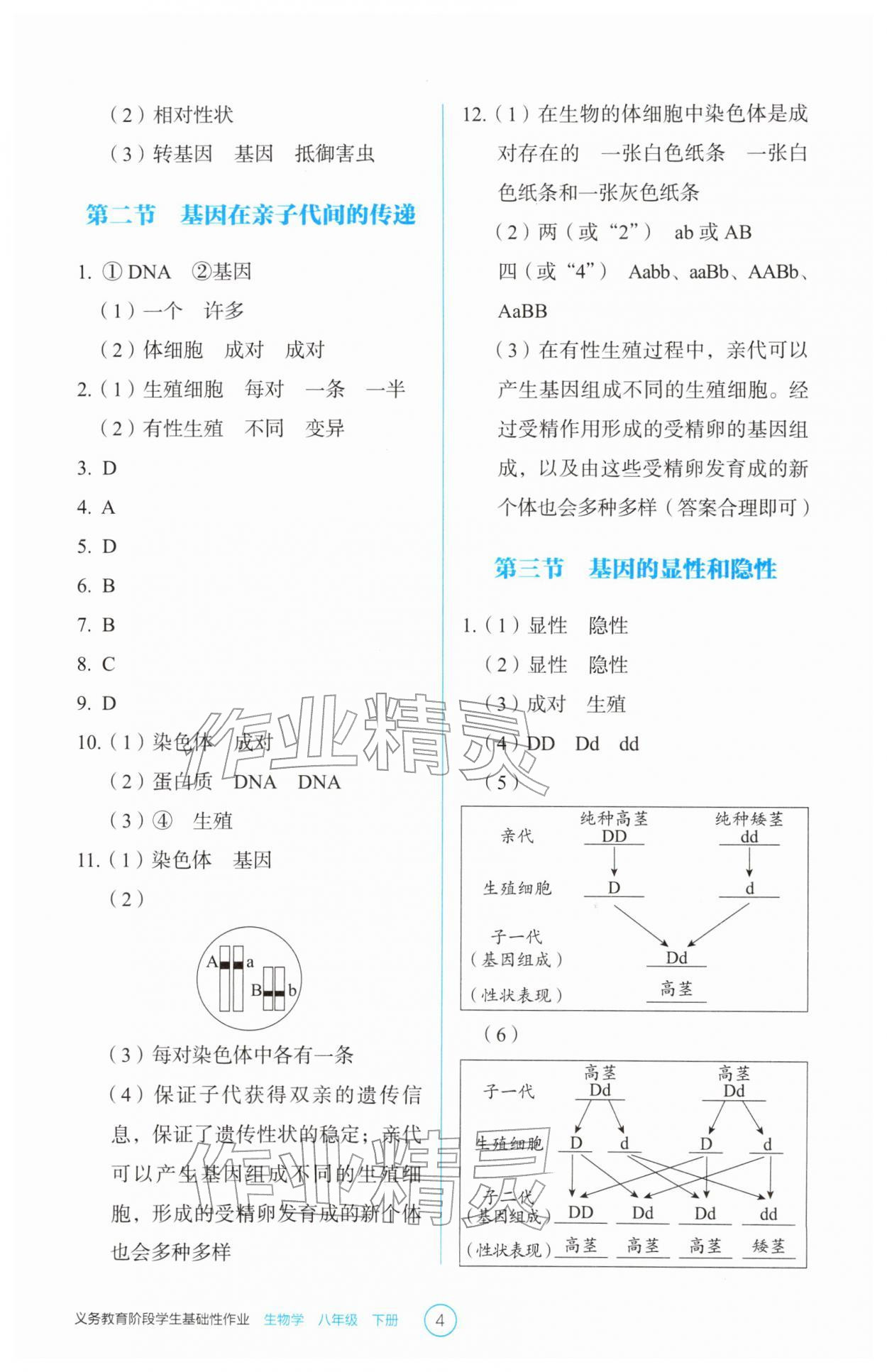 2026年学生基础性作业八年级生物下册人教版&nbsp;参考答案第4页