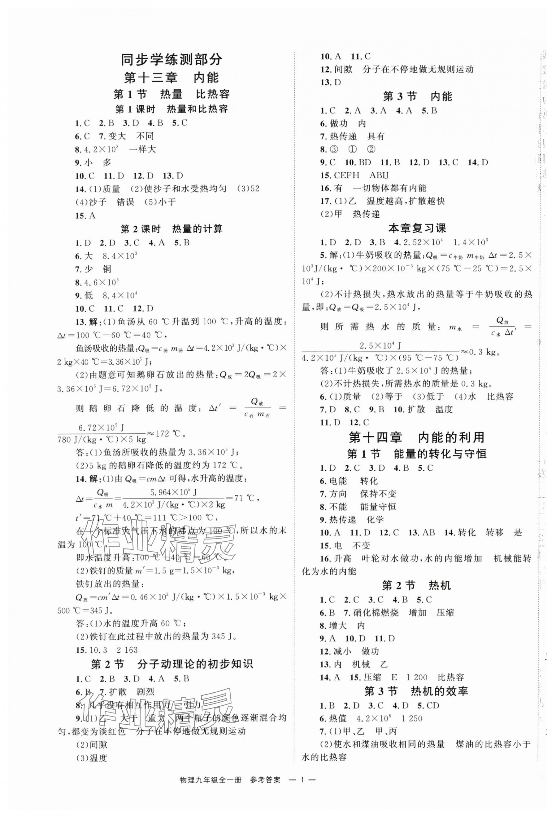 2025年全效学习同步学练测九年级物理全一册人教版 第1页