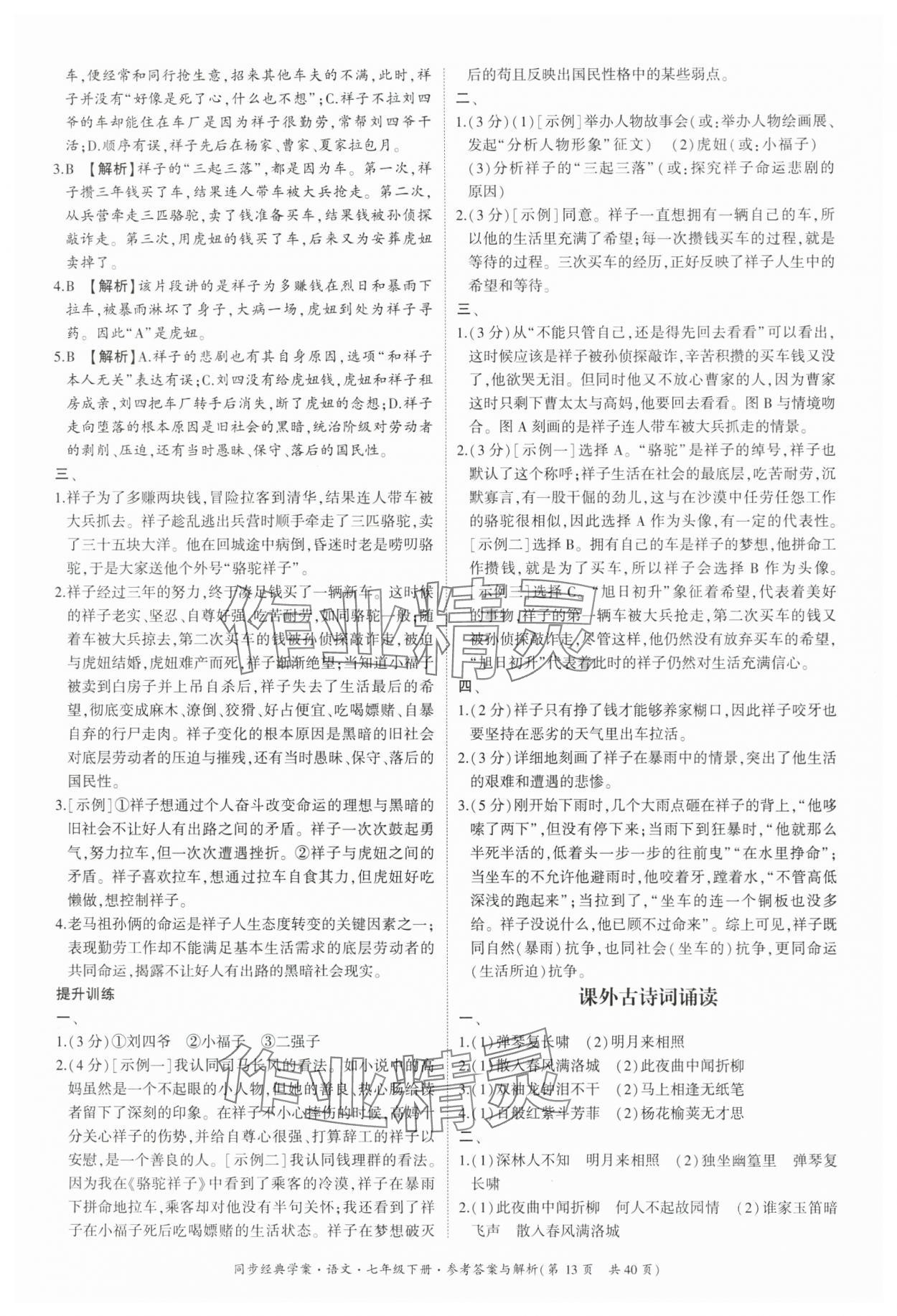 2025年同步經典學案七年級語文下冊人教版 參考答案第13頁
