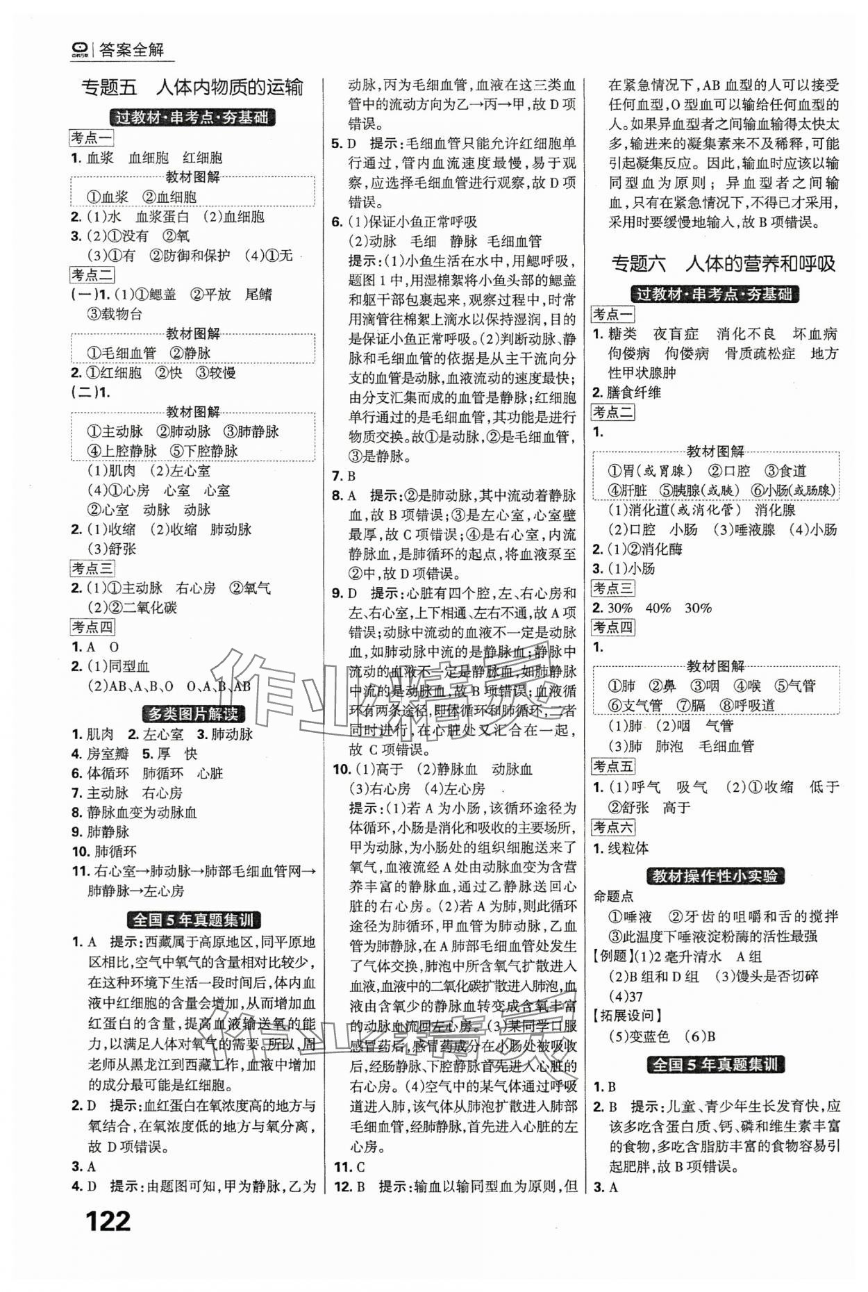 2024年全優(yōu)中考系統(tǒng)總復(fù)習(xí)生物河北專版 第4頁