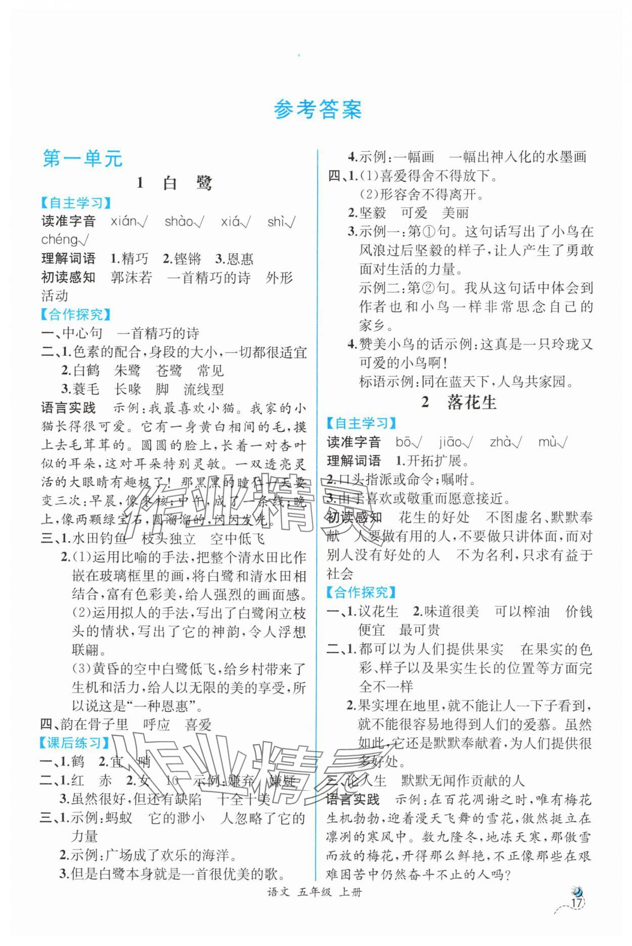 2025年人教金学典同步解析与测评五年级语文上册人教版云南专版 第1页