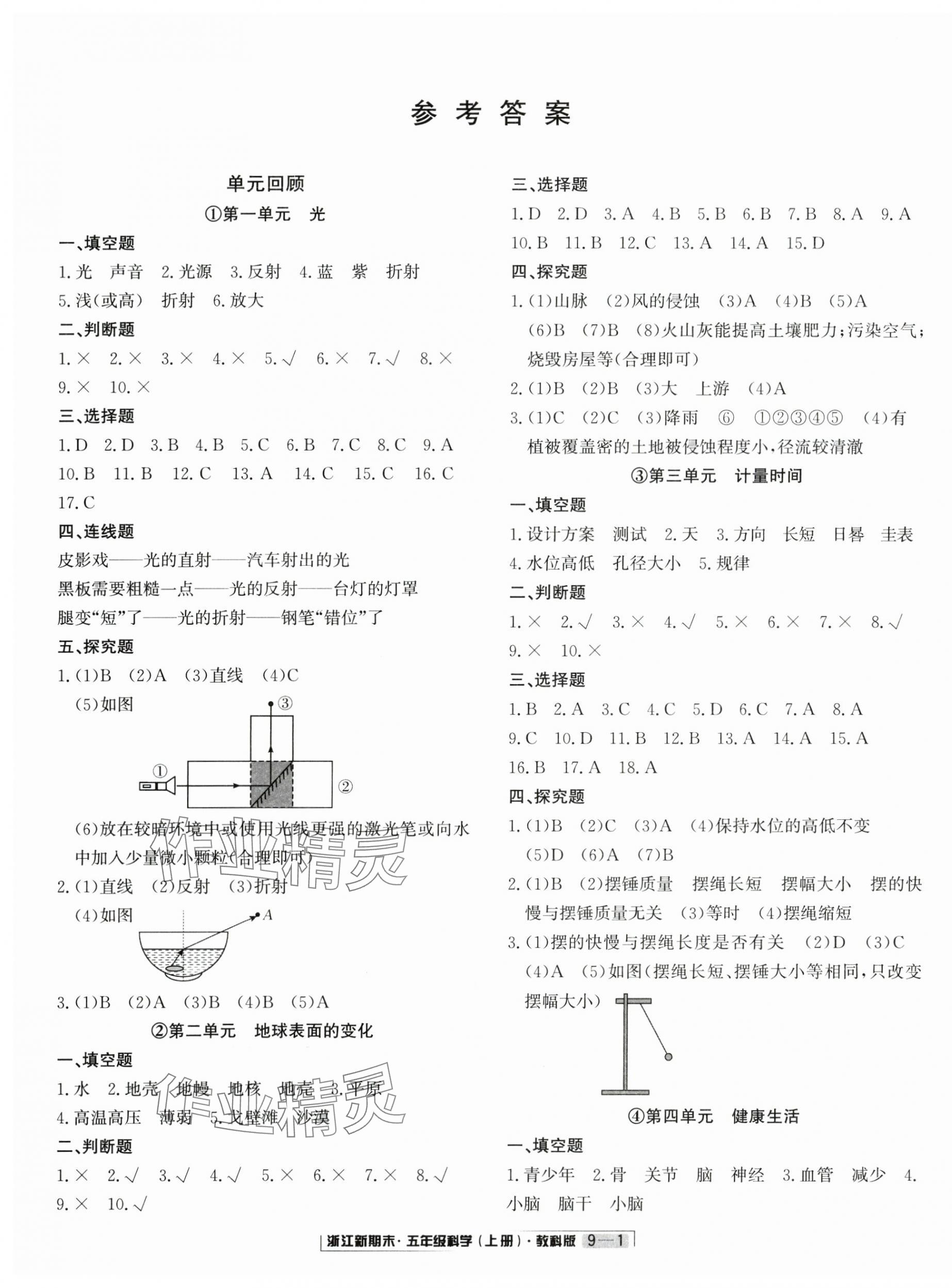 2024年浙江新期末五年級(jí)科學(xué)上冊(cè)教科版 第1頁(yè)