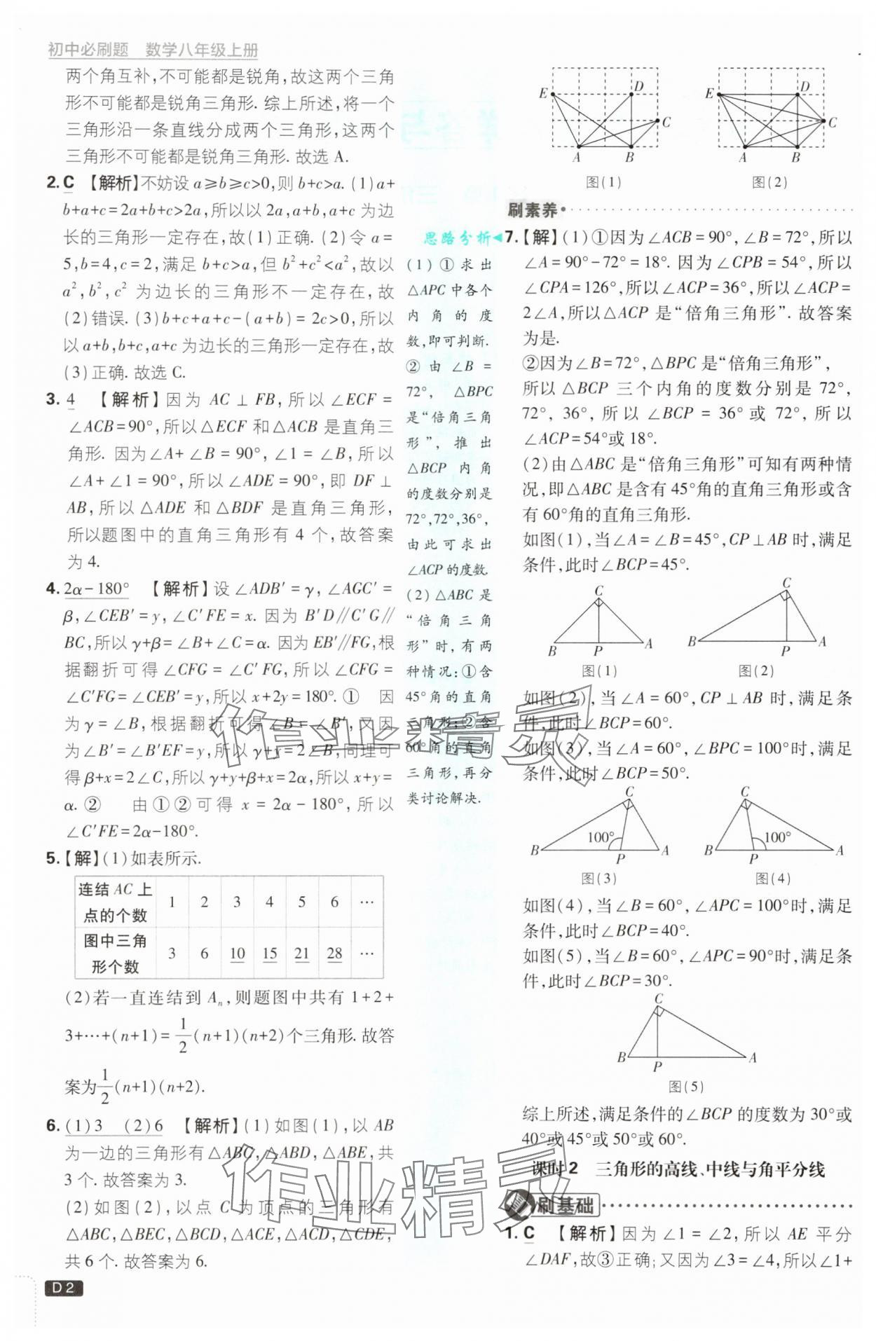 2025年初中必刷题八年级数学上册浙教版浙江专版 第2页