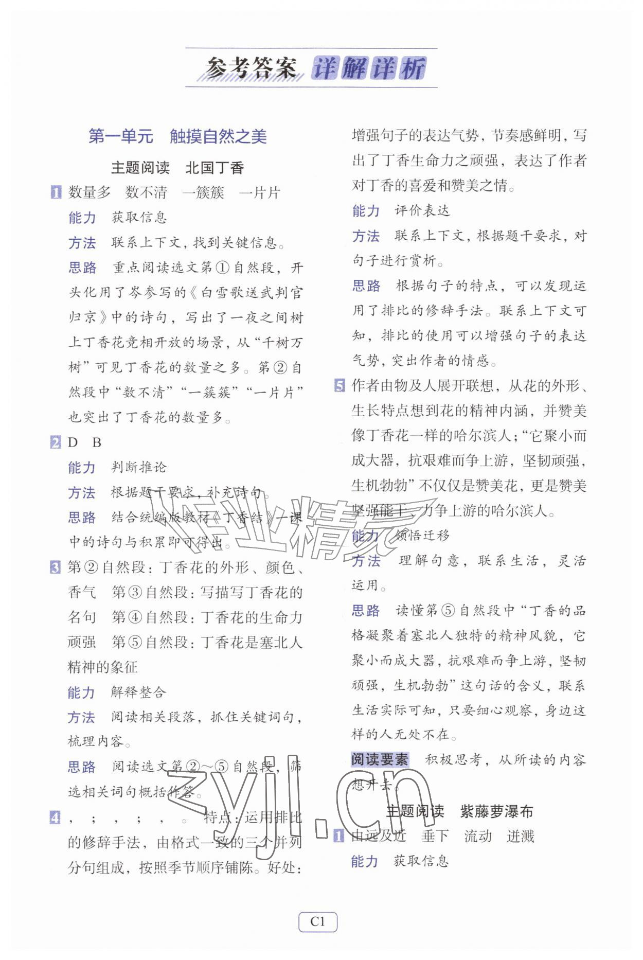 2026年知行合阅读主题拓展训练六年级语文上册人教版评议教辅&nbsp;第1页
