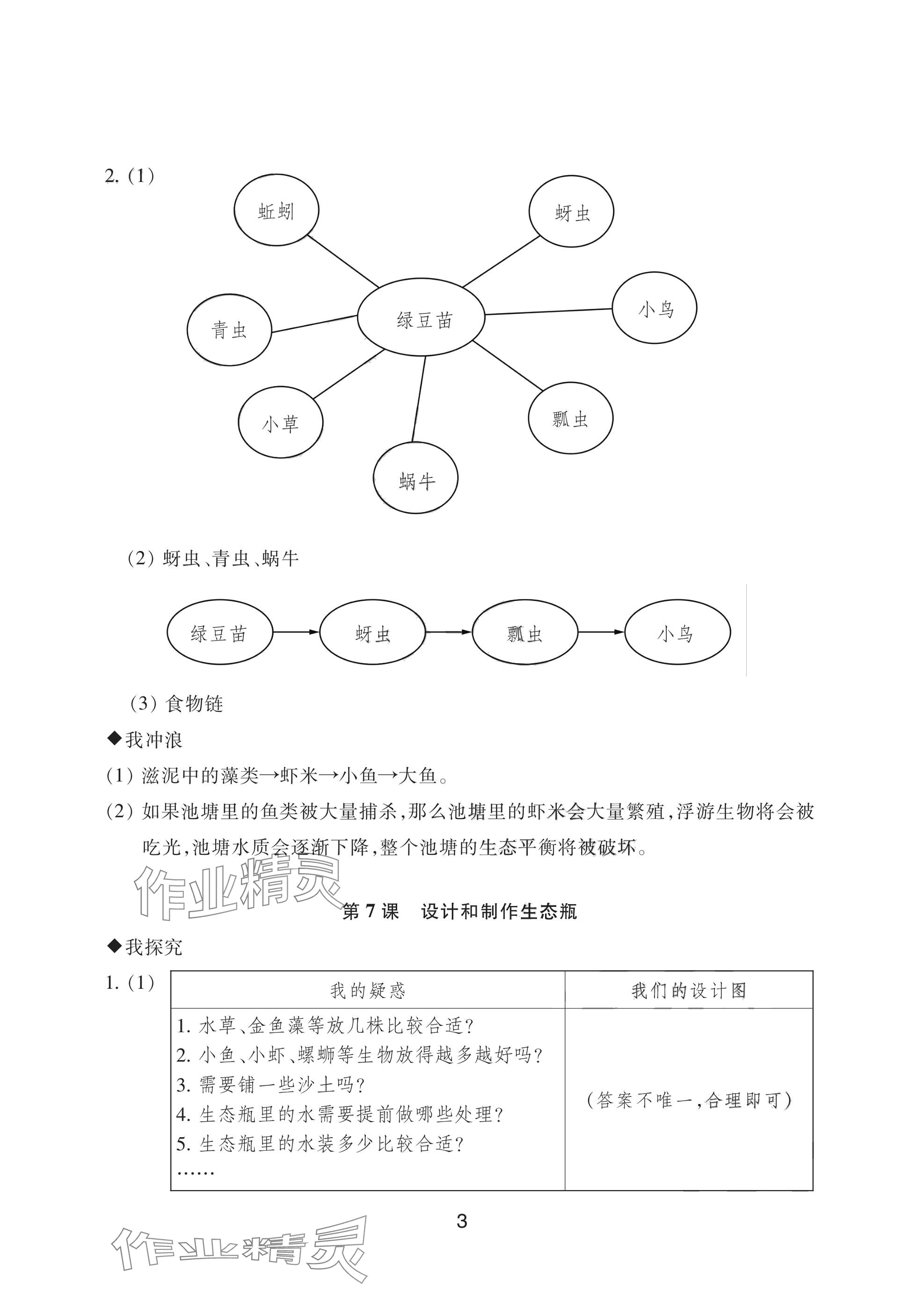 2025年預學與導學五年級科學下冊教科版 參考答案第3頁