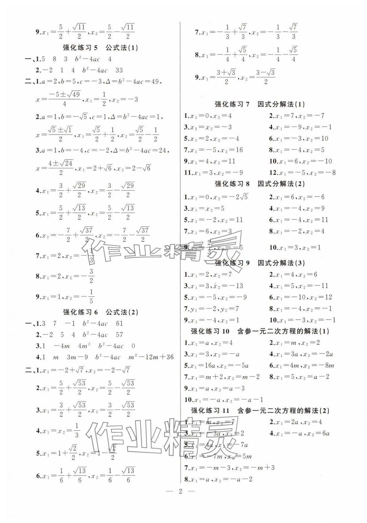2025年高手点题计算攻略九年级数学全一册人教版 参考答案第2页