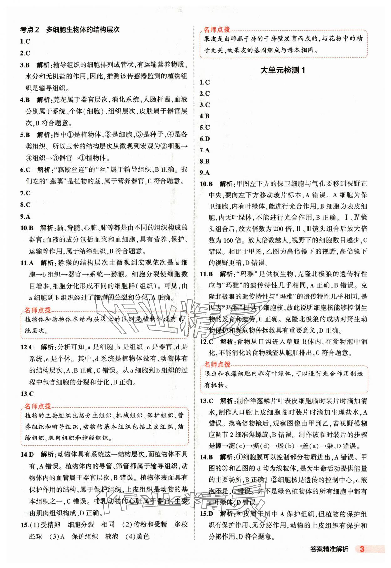 2025年5年中考3年模拟生物 参考答案第3页