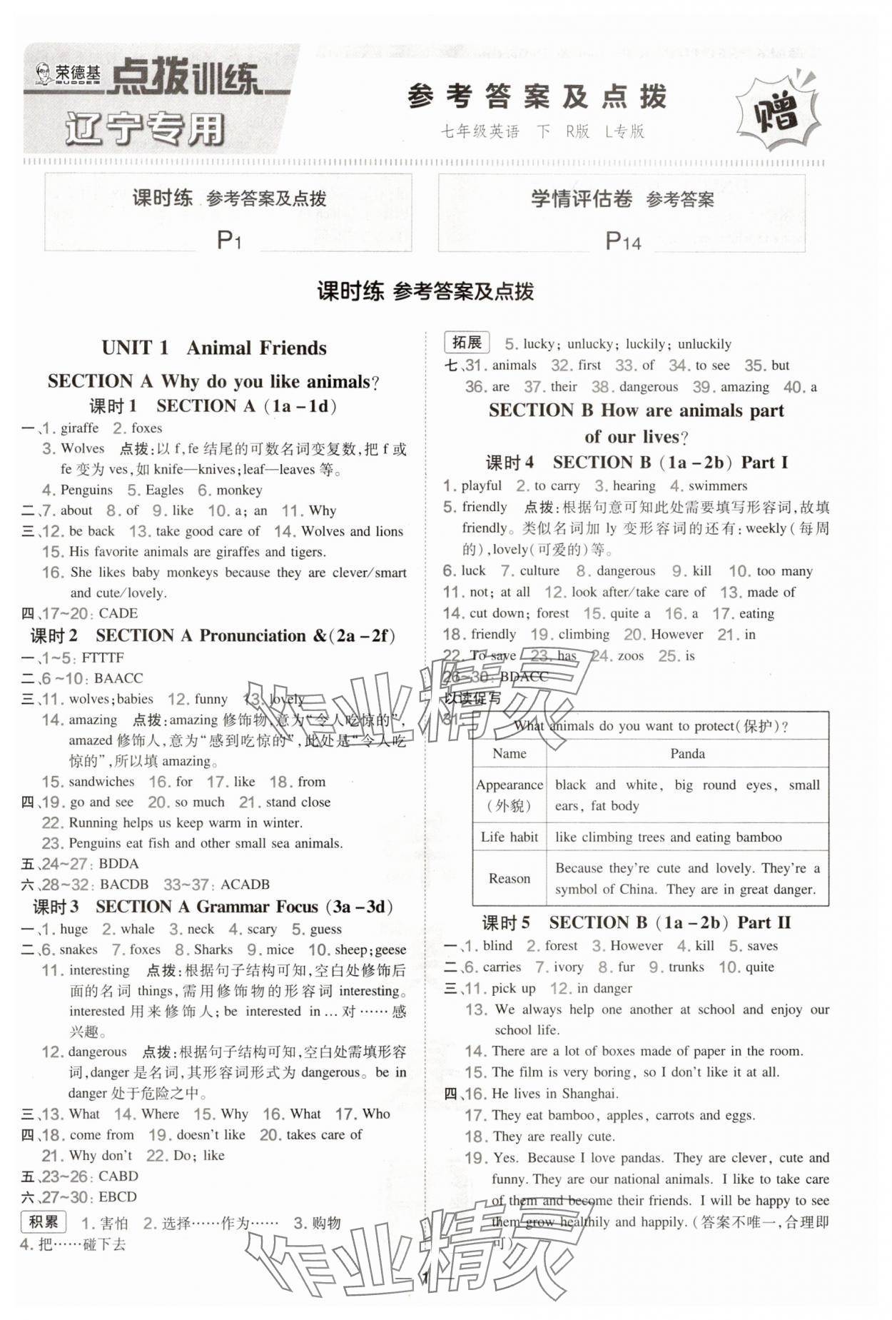 2025年点拨训练七年级英语下册人教版辽宁专版 第1页