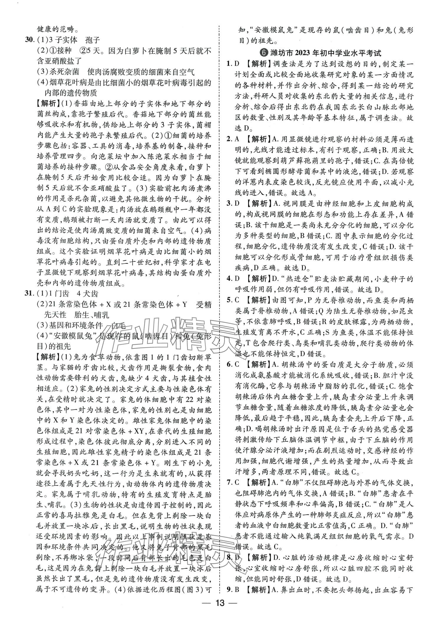 2024年鲁人泰斗中考必备中考试题汇编生物中考山东专版&nbsp;第13页
