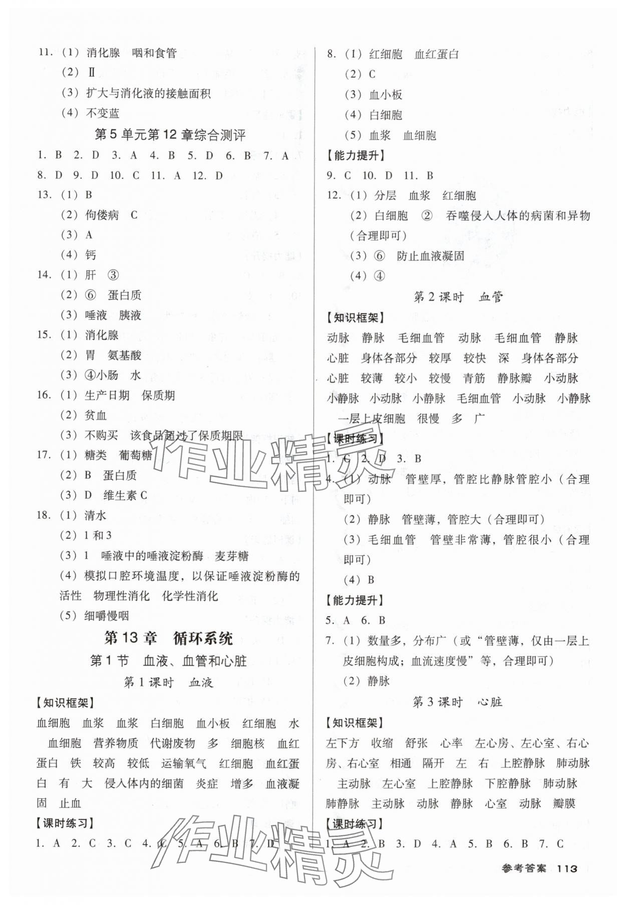 2025年全优点练课计划八年级生物上册苏教版 第3页
