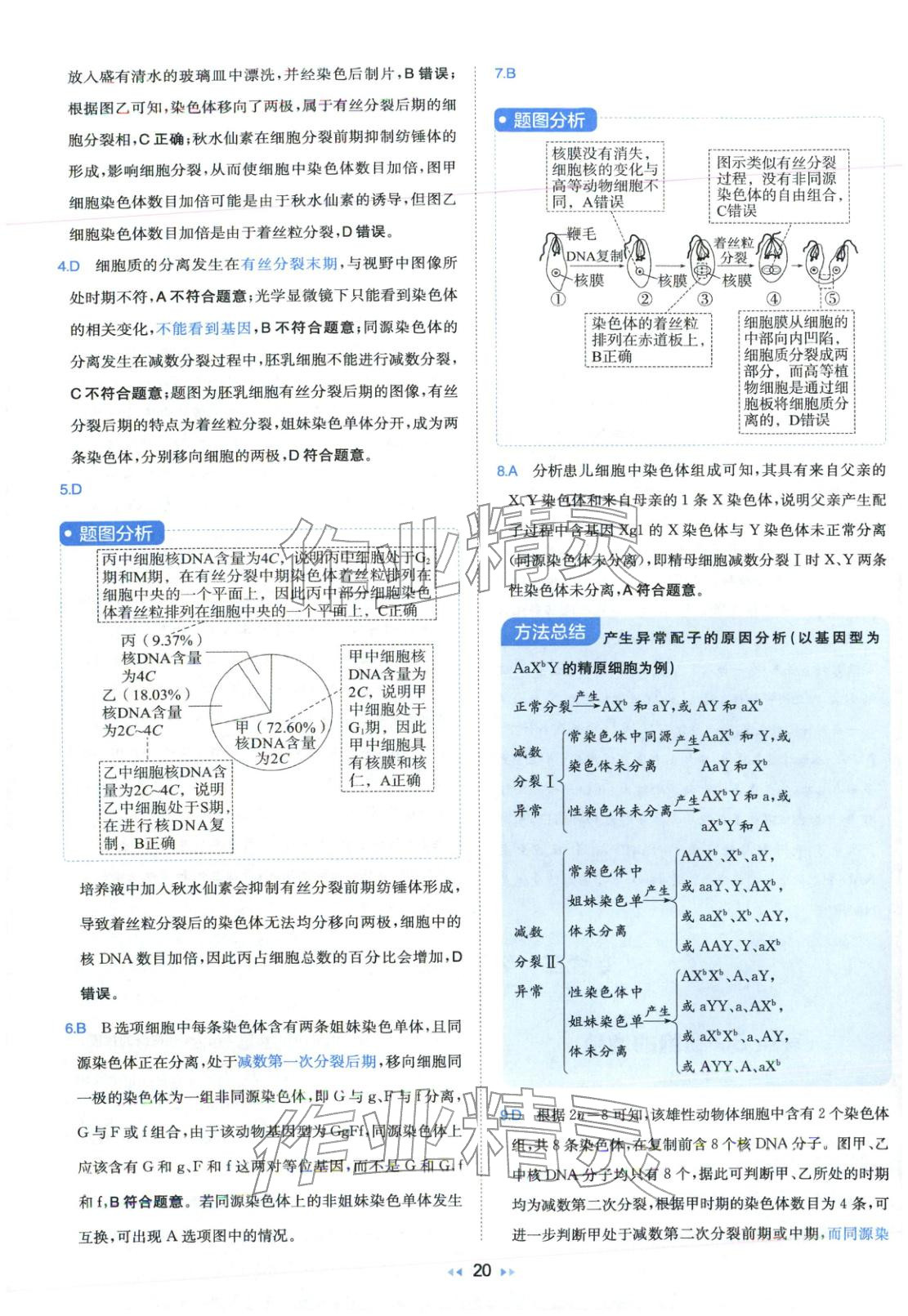 2026年一本真题分类高考生物&nbsp;第20页