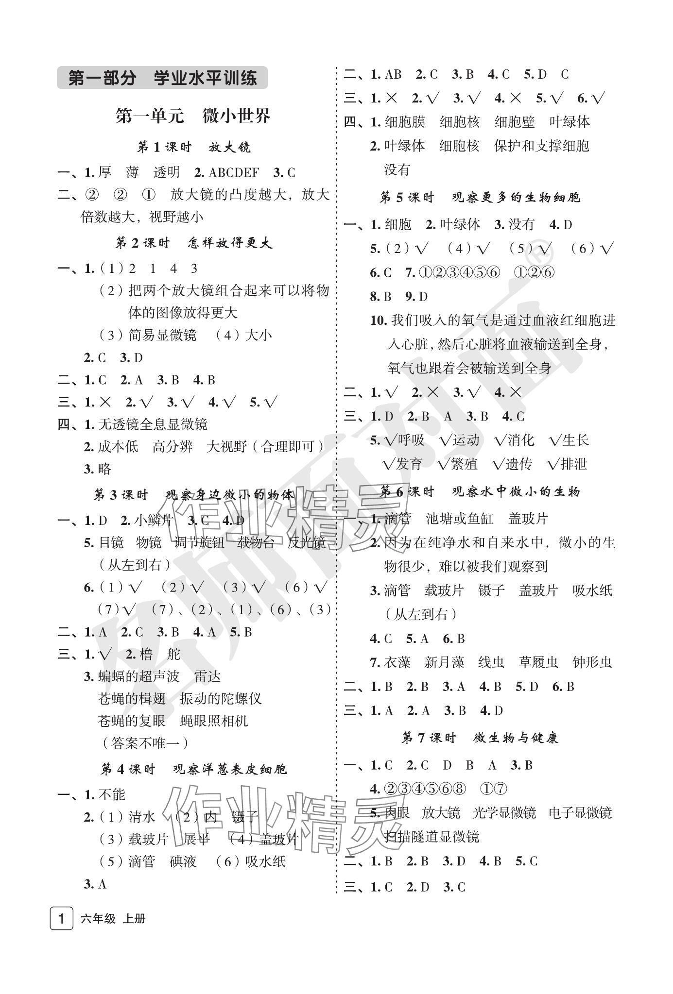 2023年名師面對面先學(xué)后練六年級科學(xué)上冊教科版評議教輔專版 參考答案第1頁