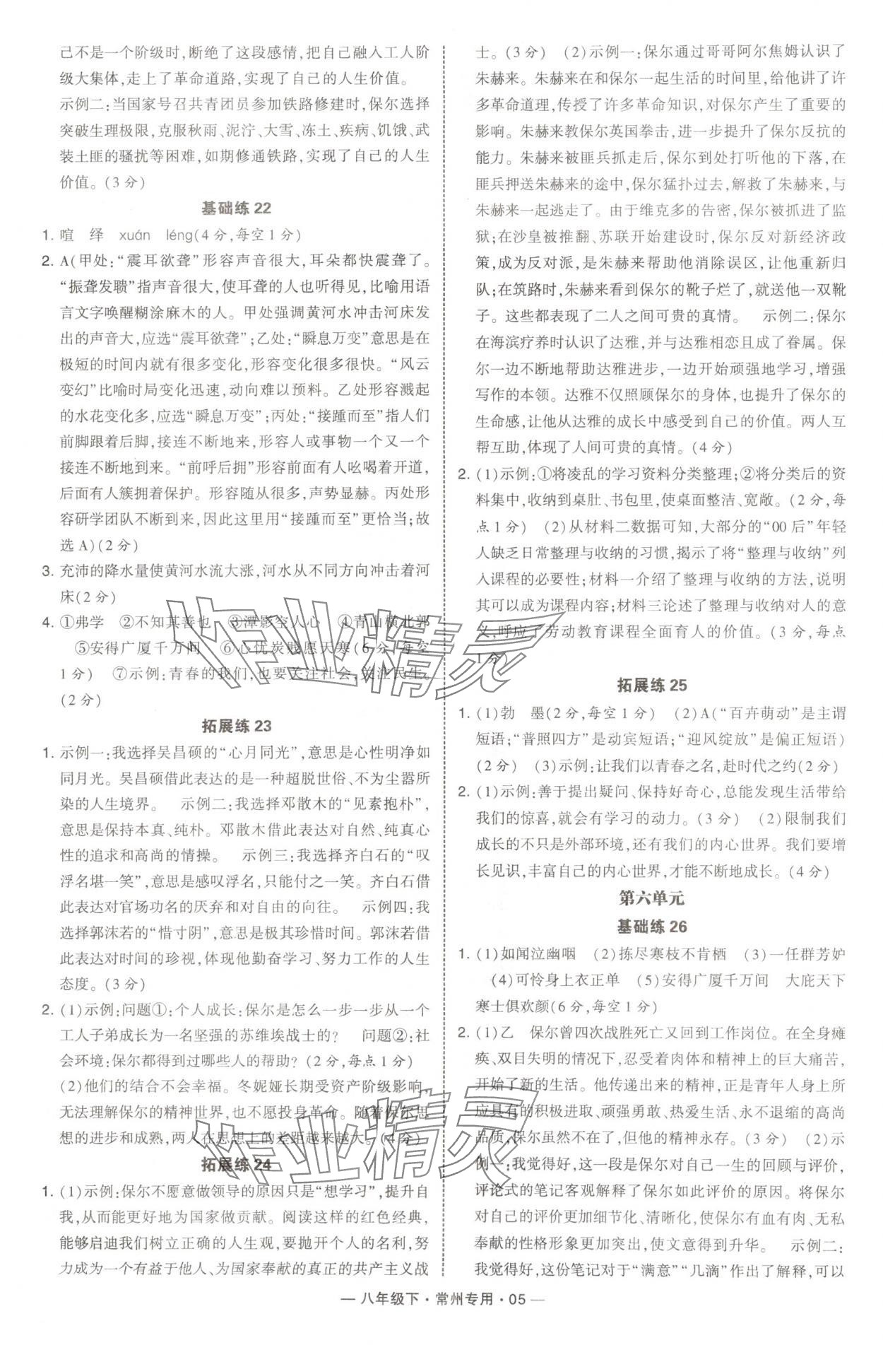 2025年通城學(xué)典組合訓(xùn)練八年級語文下冊人教版常州專版 第5頁