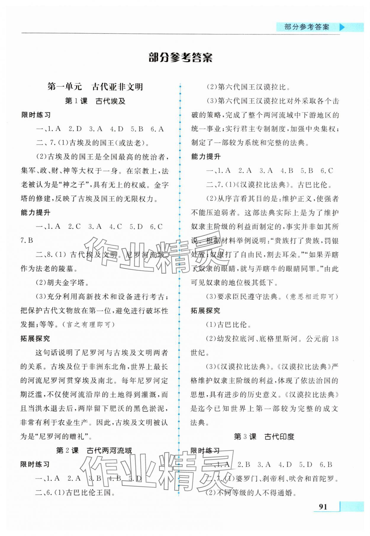 2024年名师点拨配套练习课时作业九年级历史上册人教版 第1页