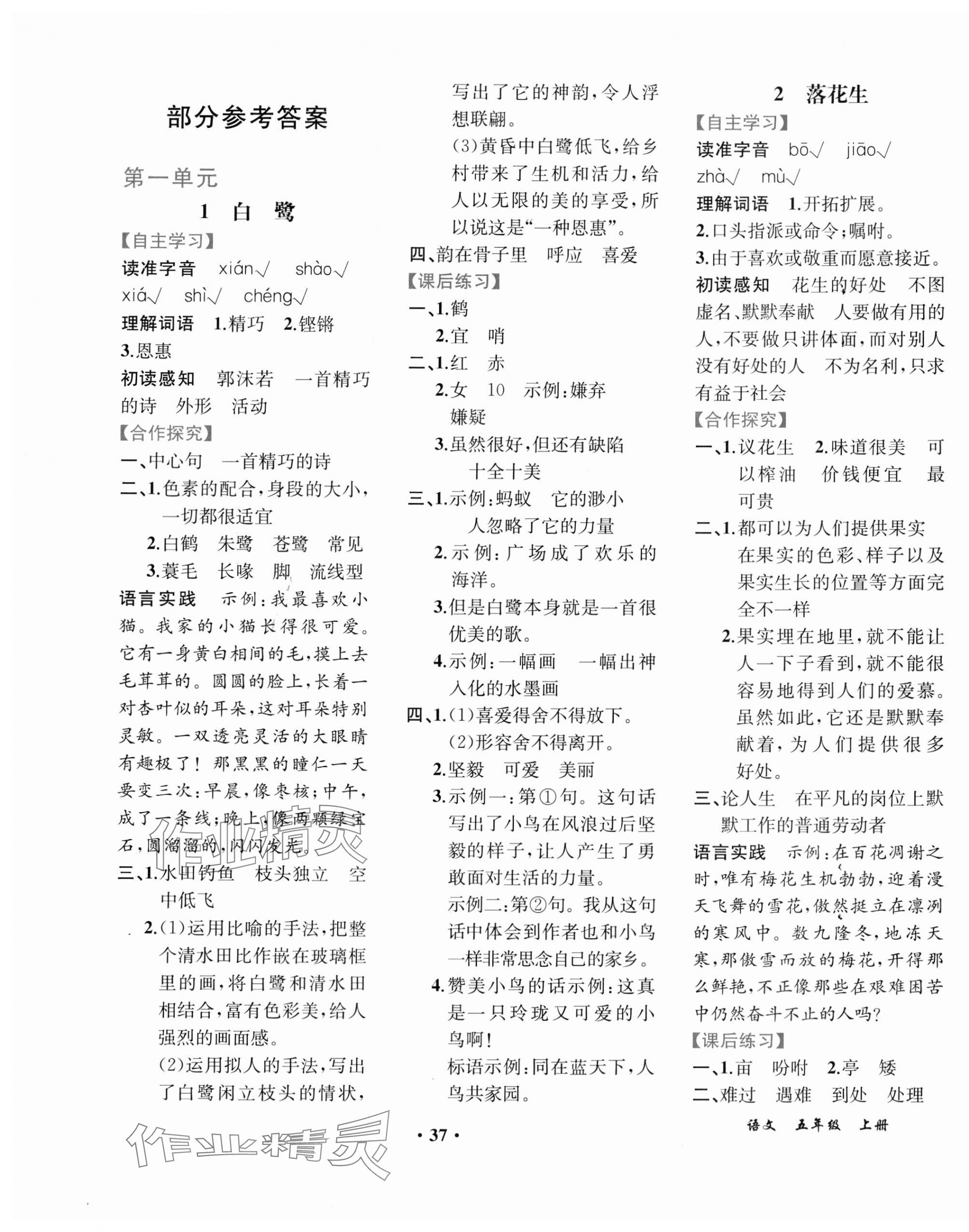 2023年胜券在握同步解析与测评五年级语文上册人教版重庆专版 第1页