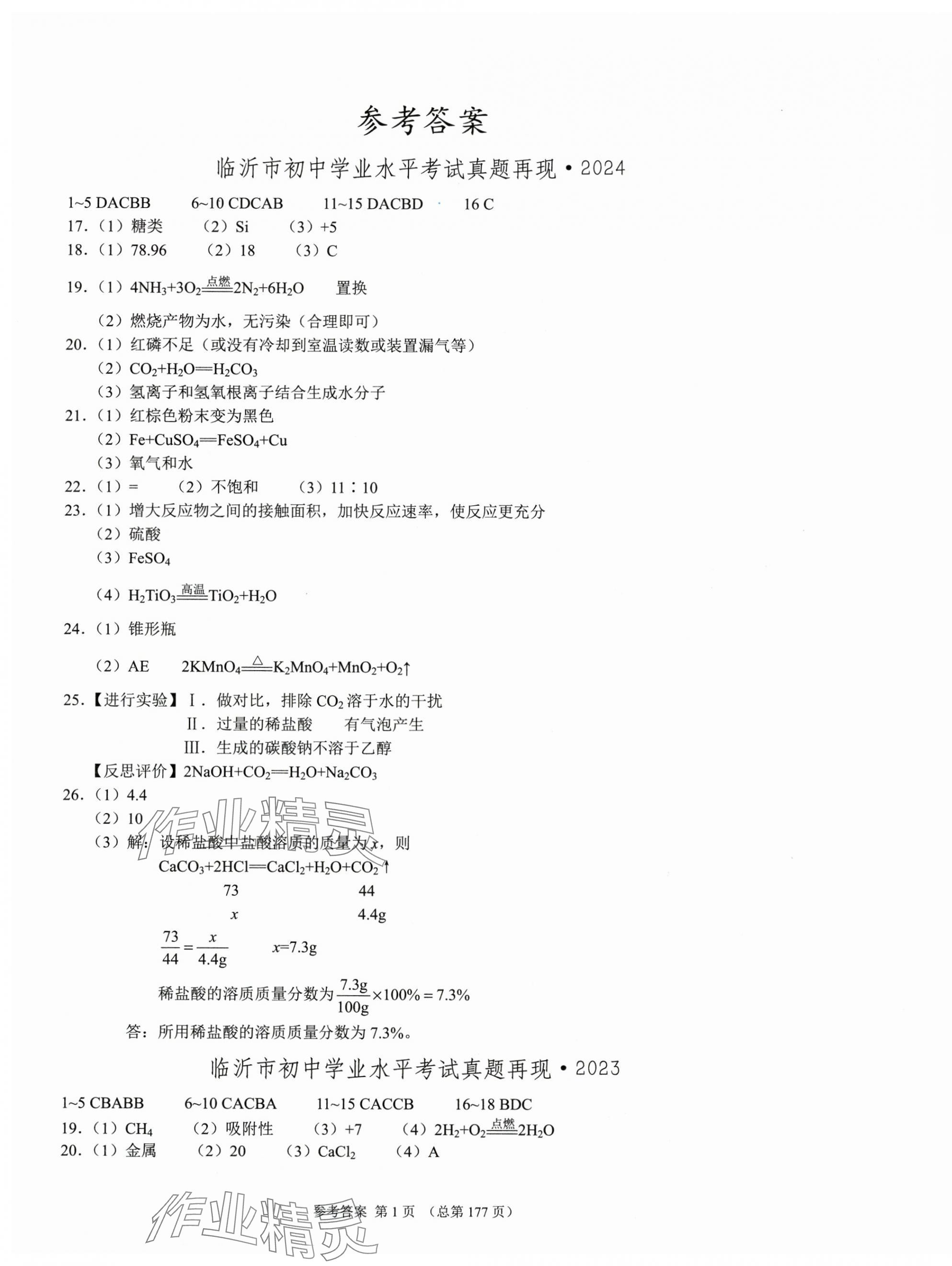 2025年中考超级模拟中考211化学临沂专版 第1页
