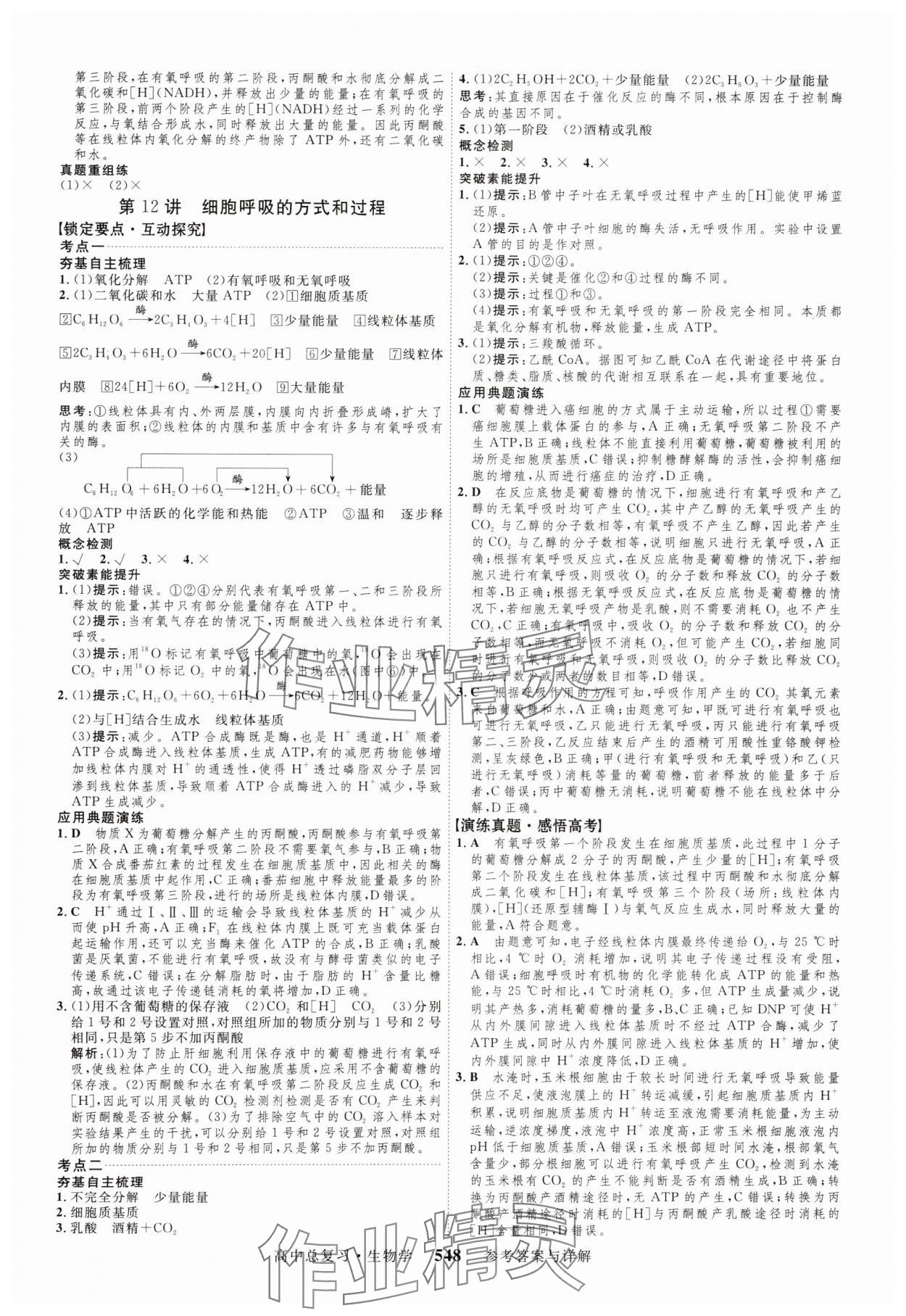 2024年三维设计生物 参考答案第12页