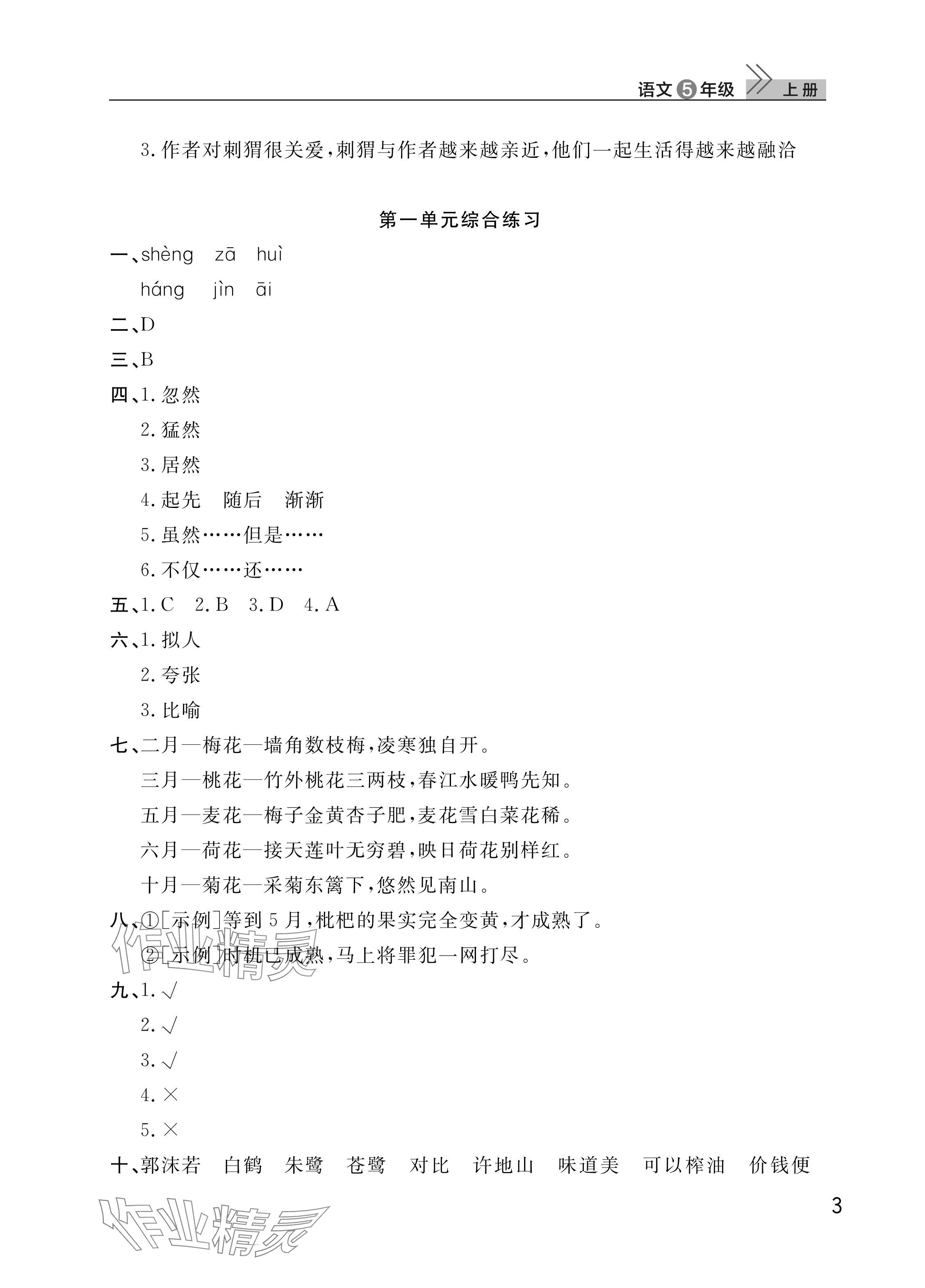 2025年课堂作业武汉出版社五年级语文上册人教版 参考答案第3页
