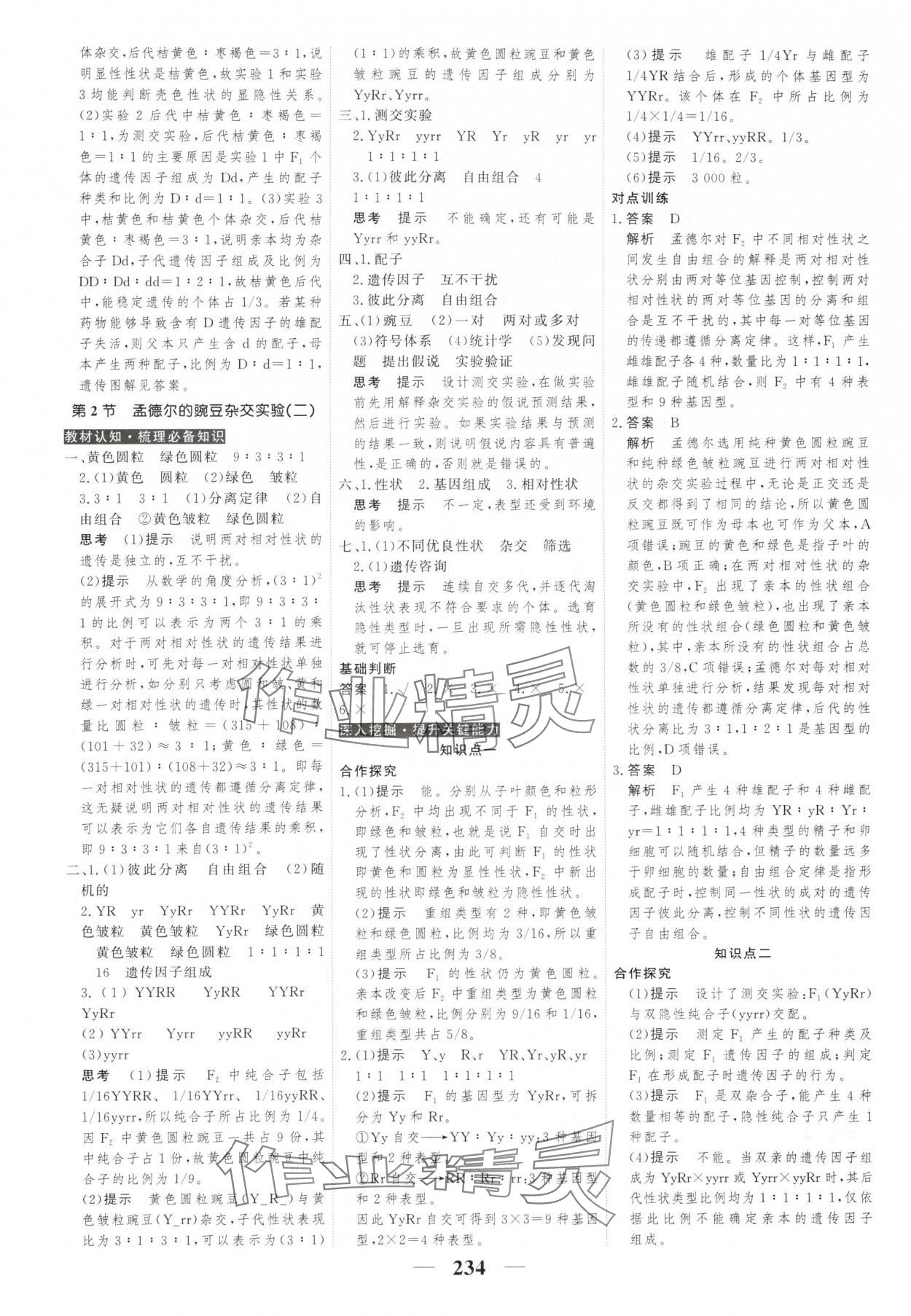 2025年新教材同步學案高考調研生物必修2人教版 第4頁