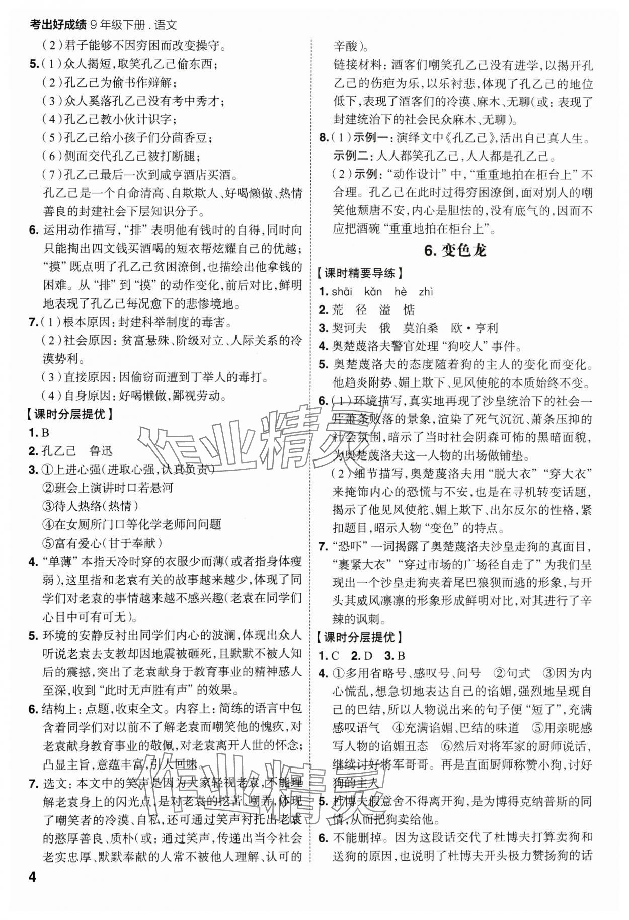 2025年考出好成績九年級(jí)語文下冊(cè)人教版山東專版&nbsp;參考答案第3頁