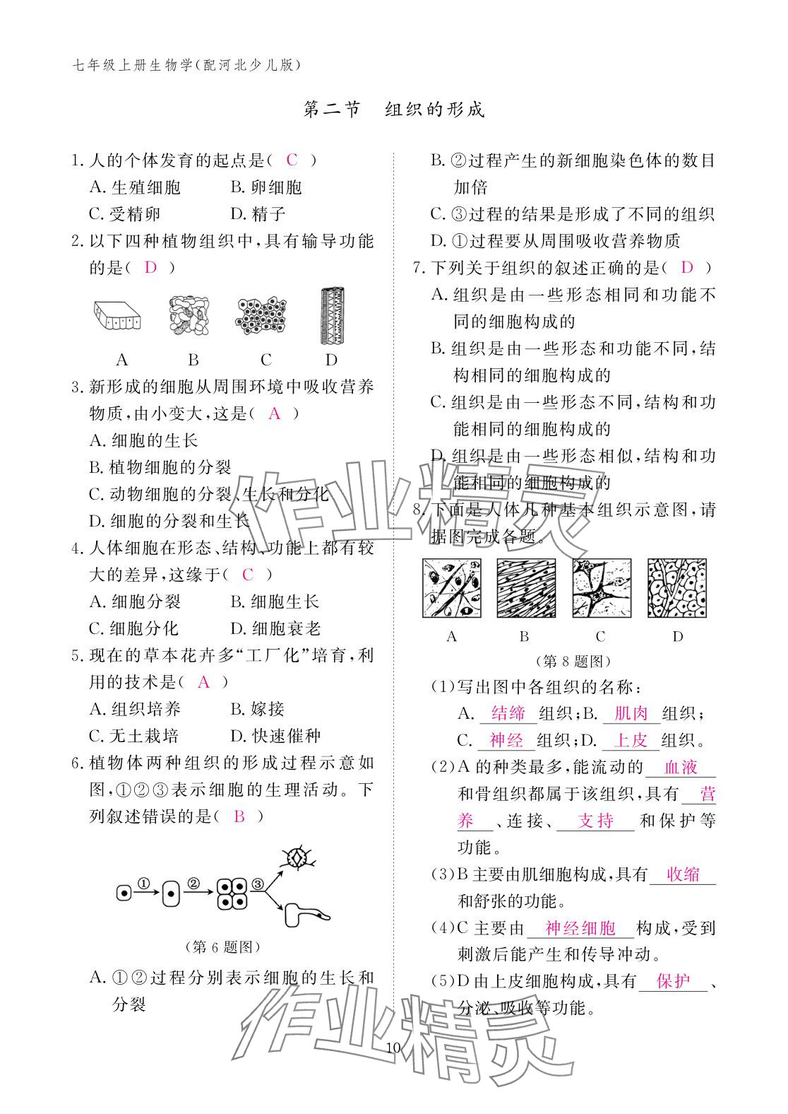 2025年作业本江西教育出版社七年级生物上册冀少版 参考答案第10页
