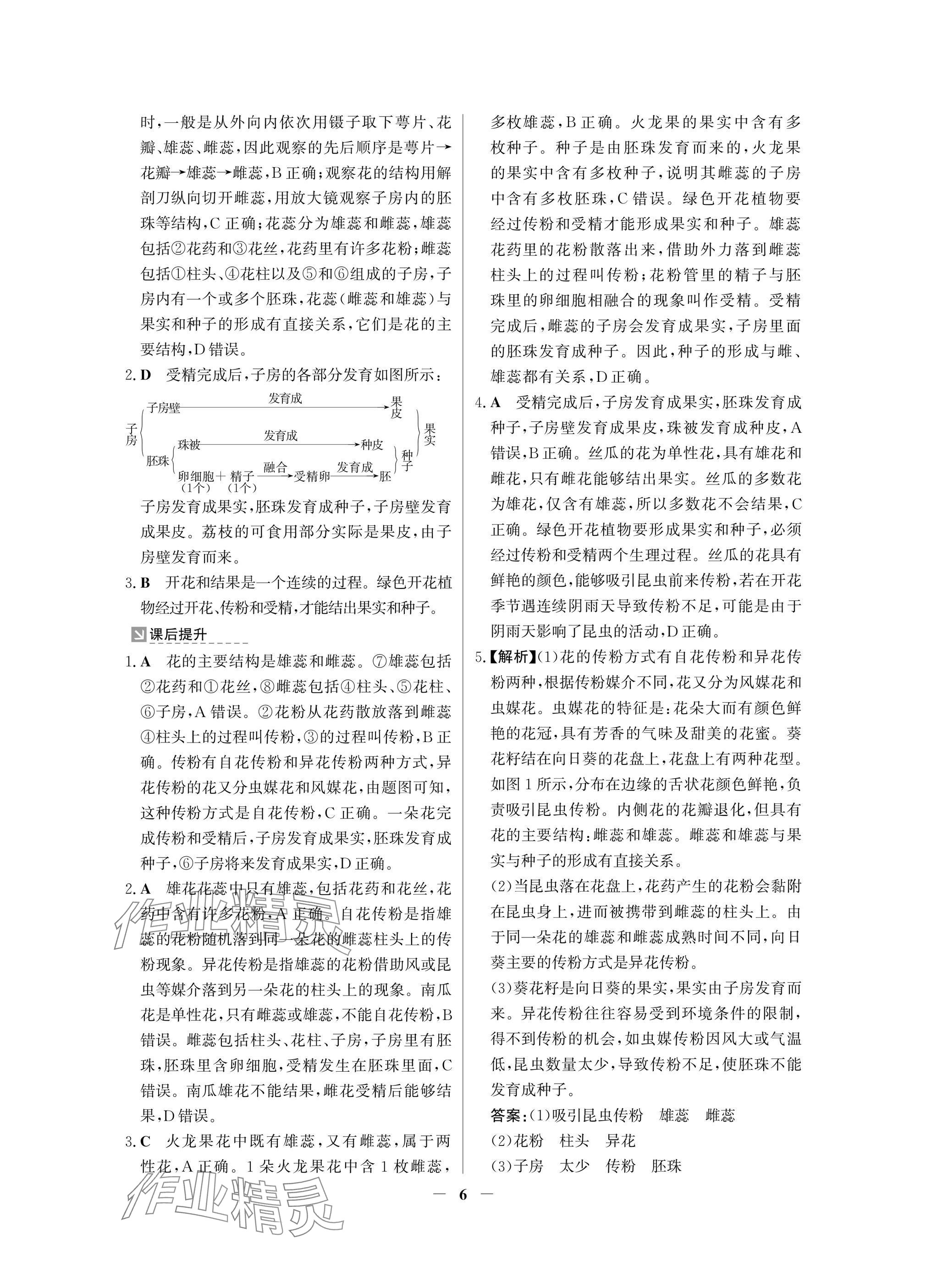 2025年南方新課堂金牌學案七年級生物下冊人教版深圳專版 參考答案第6頁