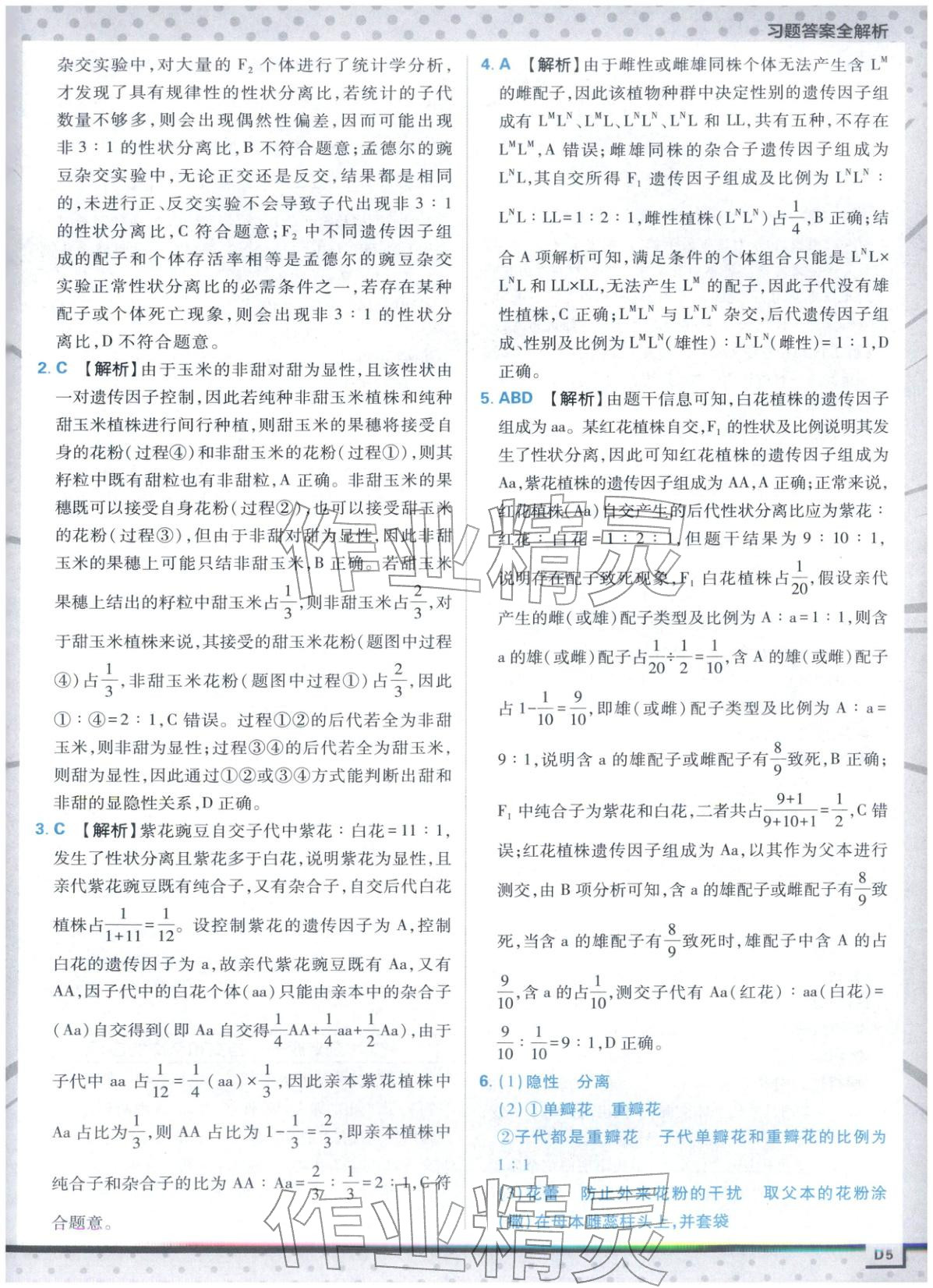 2025年上分攻略高中生物必修第二冊人教版&nbsp;第5頁