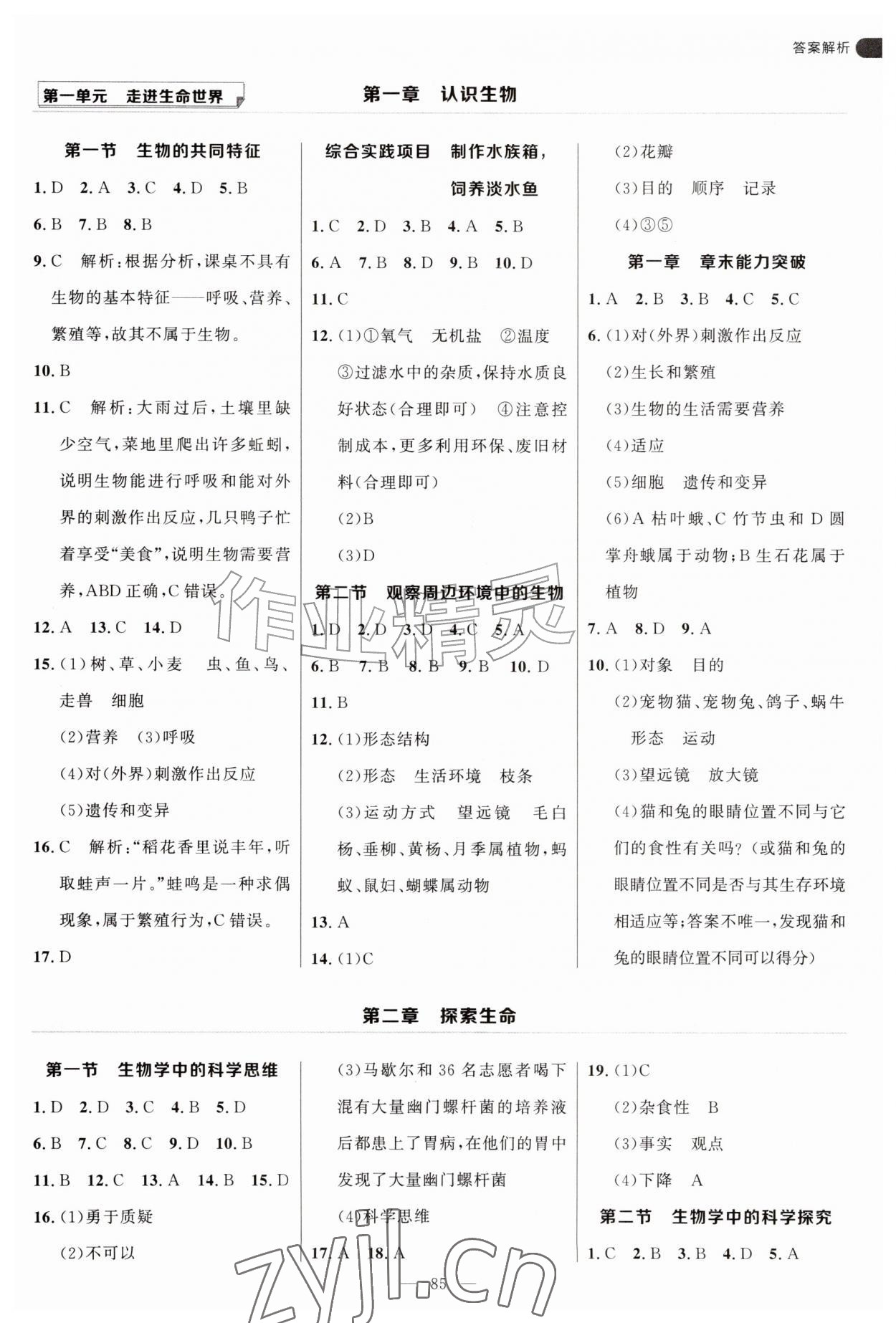 2026年细解巧练六年级生物上册鲁科版五四制&nbsp;第1页
