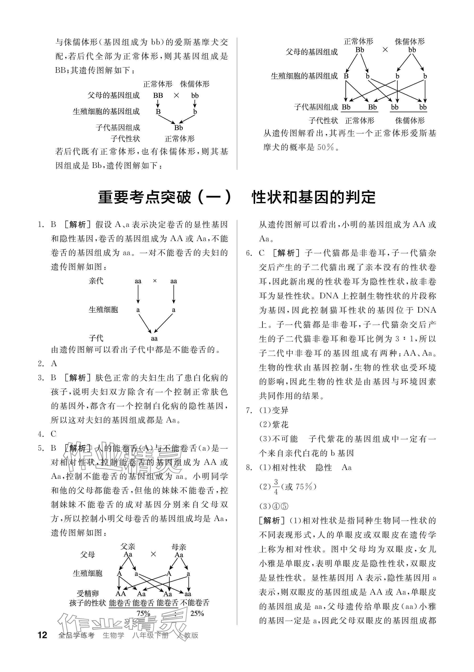 2024年全品學(xué)練考八年級生物下冊人教版 參考答案第12頁