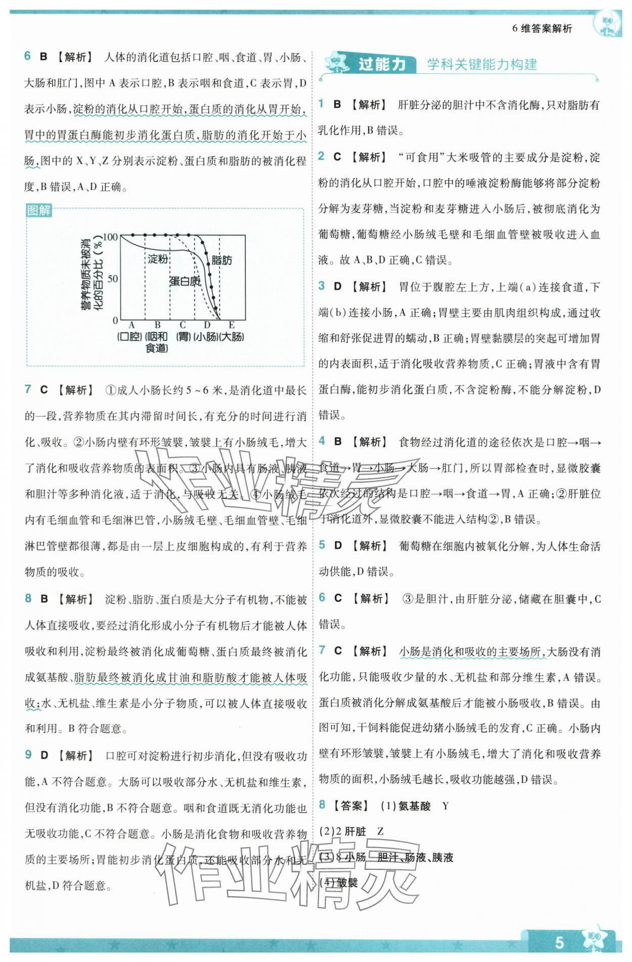 2024年一遍过七年级生物下册人教版 参考答案第5页