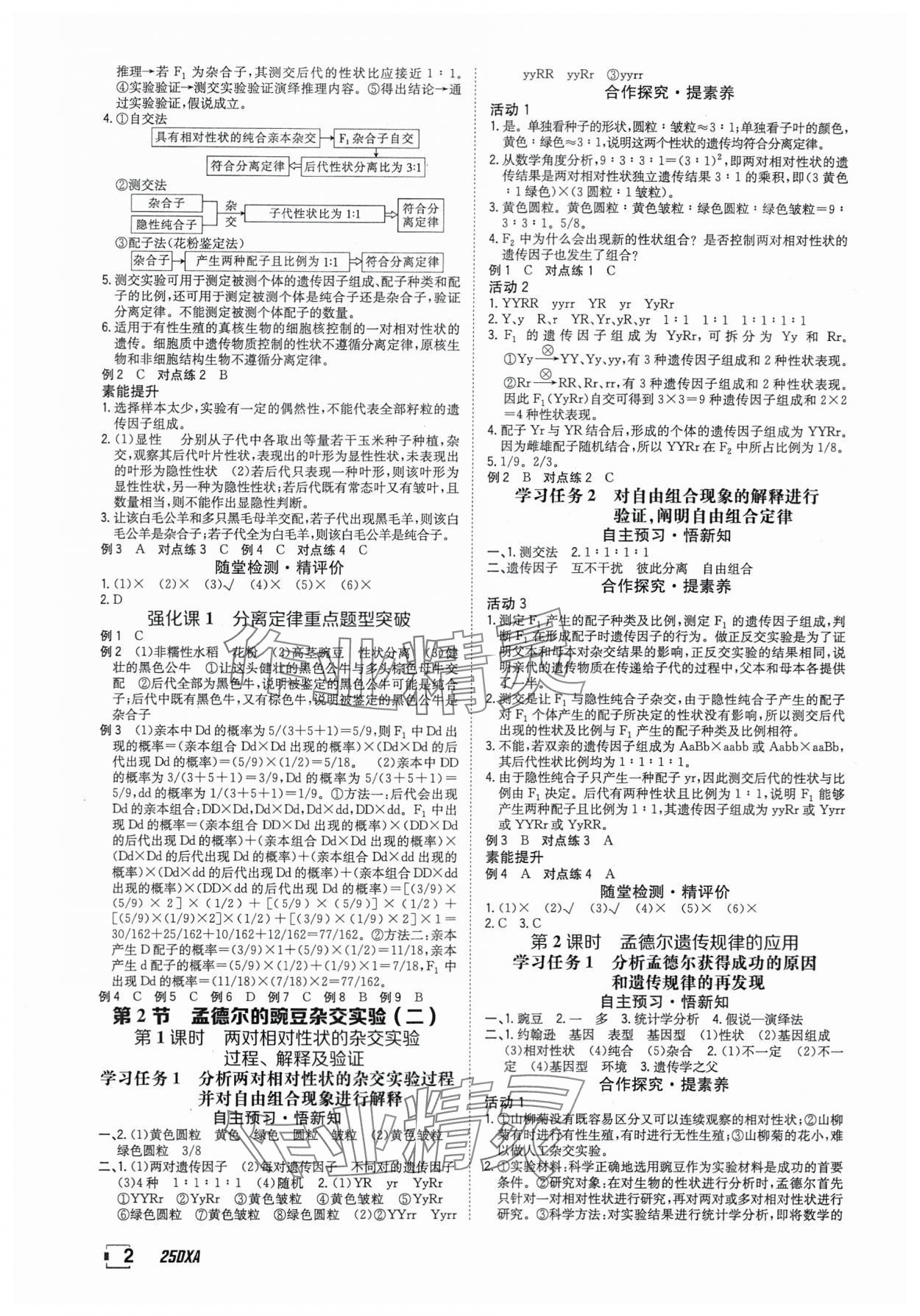 2025年金太陽(yáng)導(dǎo)學(xué)案高中生物必修2人教版 參考答案第2頁(yè)