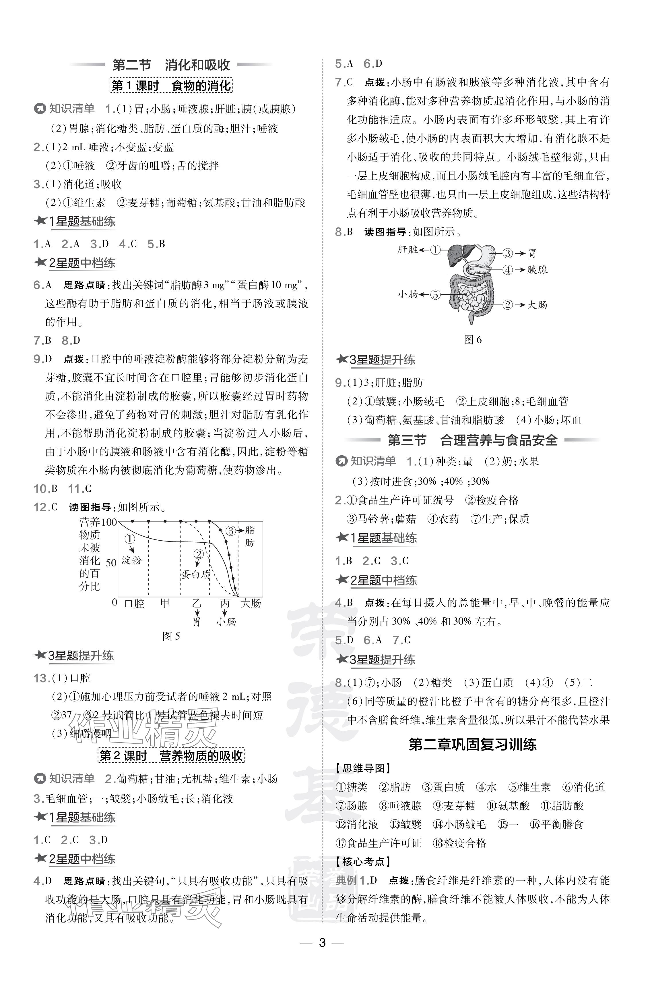 2024年點撥訓練七年級生物下冊人教版 參考答案第3頁