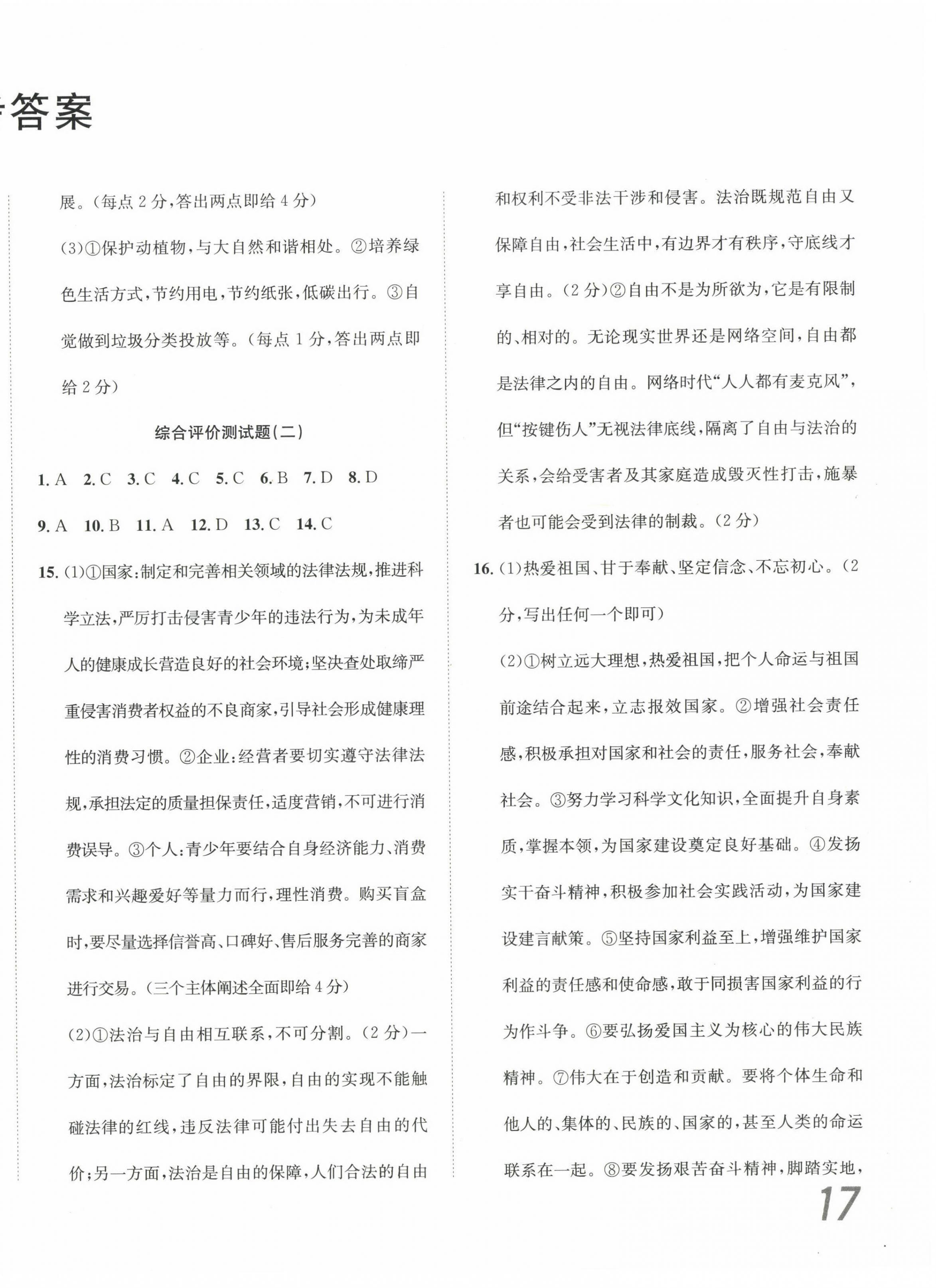 2025年學(xué)業(yè)水平評價九年級道德與法治下冊人教版 第2頁