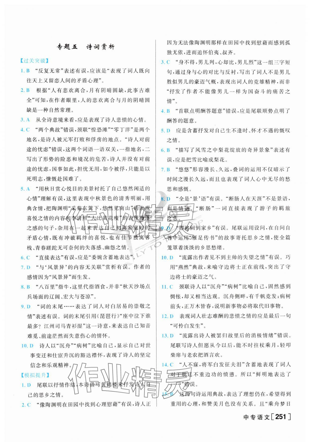 2024年一飞冲天中考专项精品试题分类语文 第11页