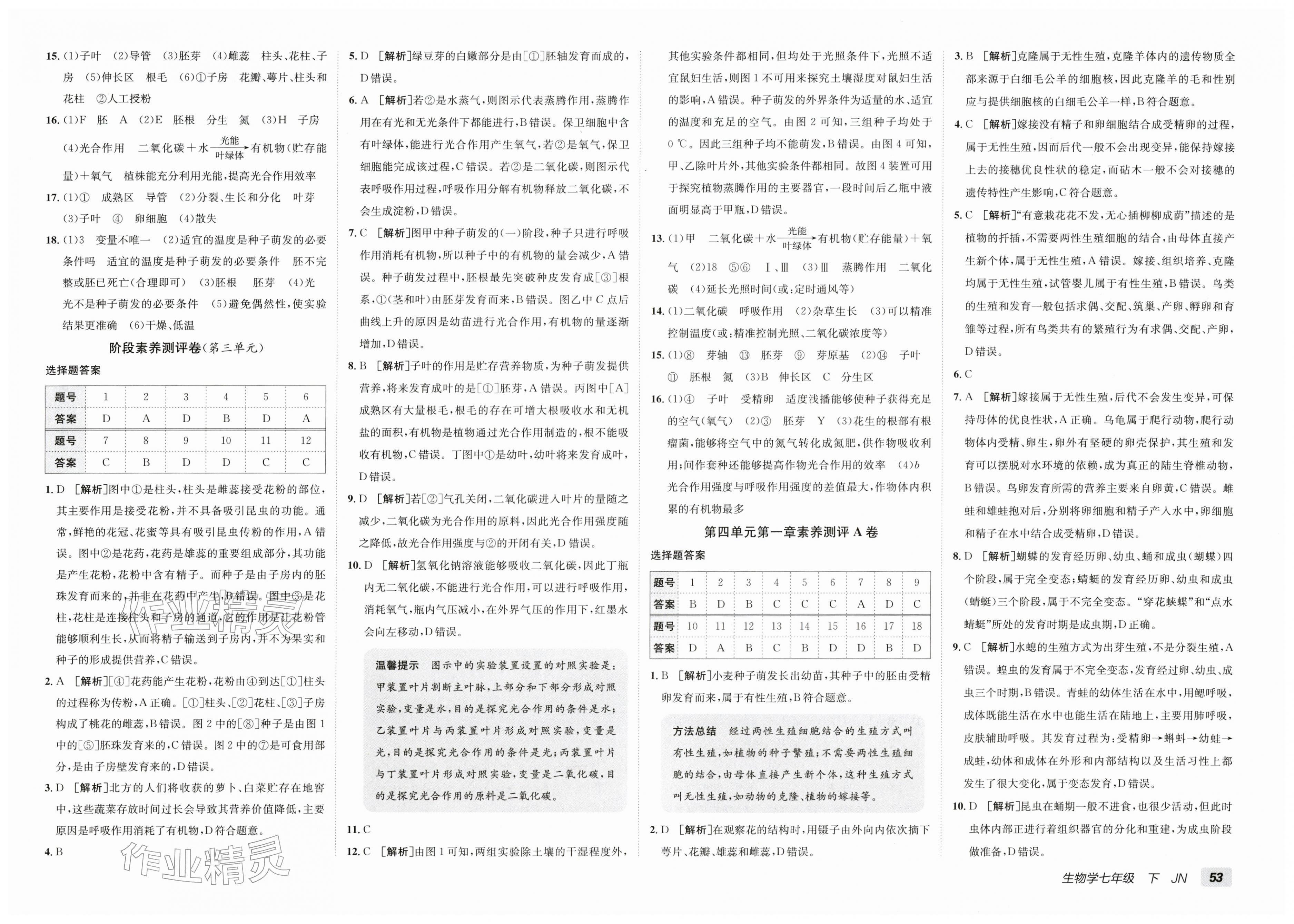 2026年海淀单元测试AB卷七年级生物下册济南版&nbsp;第3页