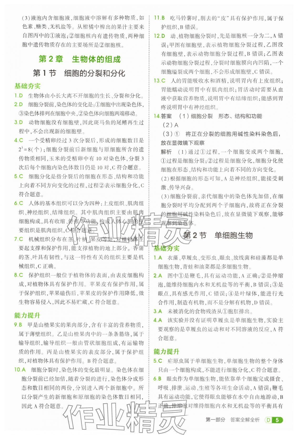 2025年5年中考3年模擬七年級(jí)生物上冊(cè)蘇教版 第5頁(yè)