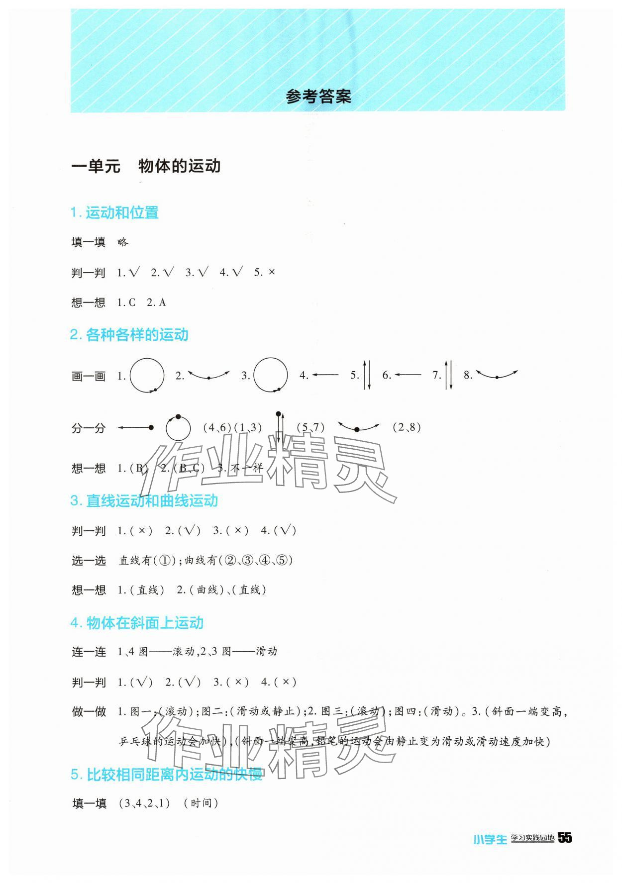 2024年学习实践园地三年级科学下册教科版 第1页