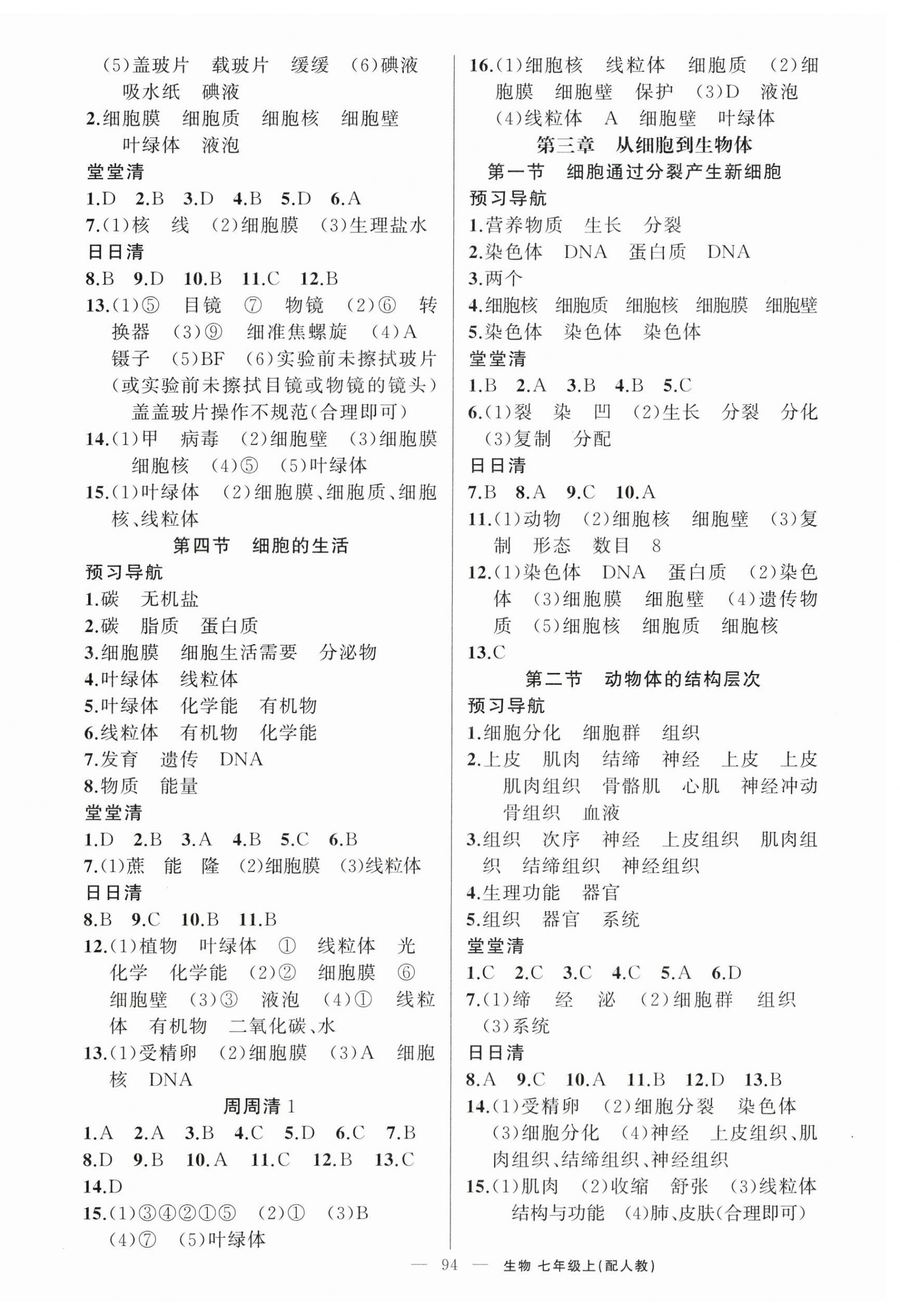 2026年四清导航七年级生物上册人教版&nbsp;第2页