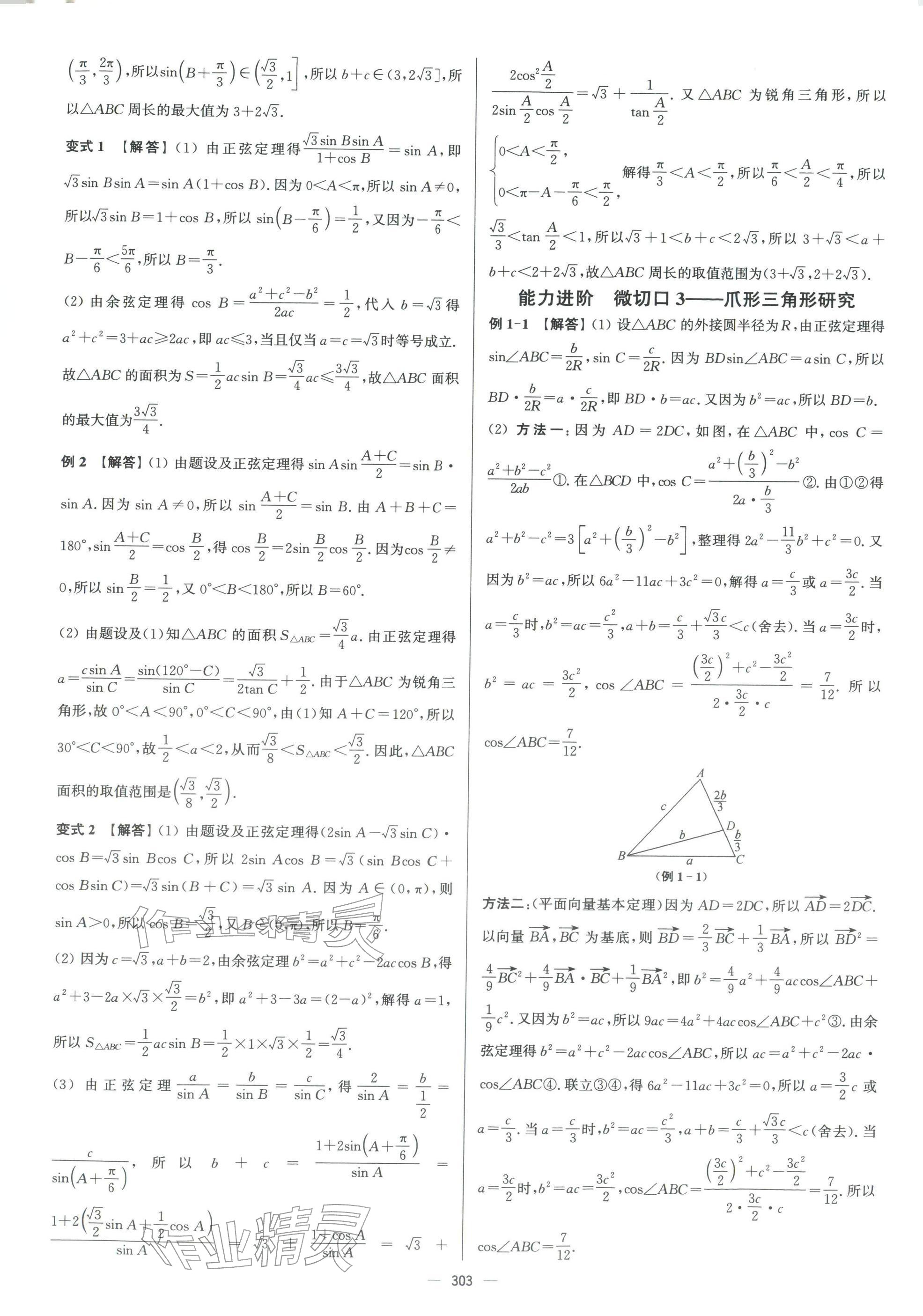 2026年南方凤凰台二轮提优导学案数学小基础版 参考答案第16页