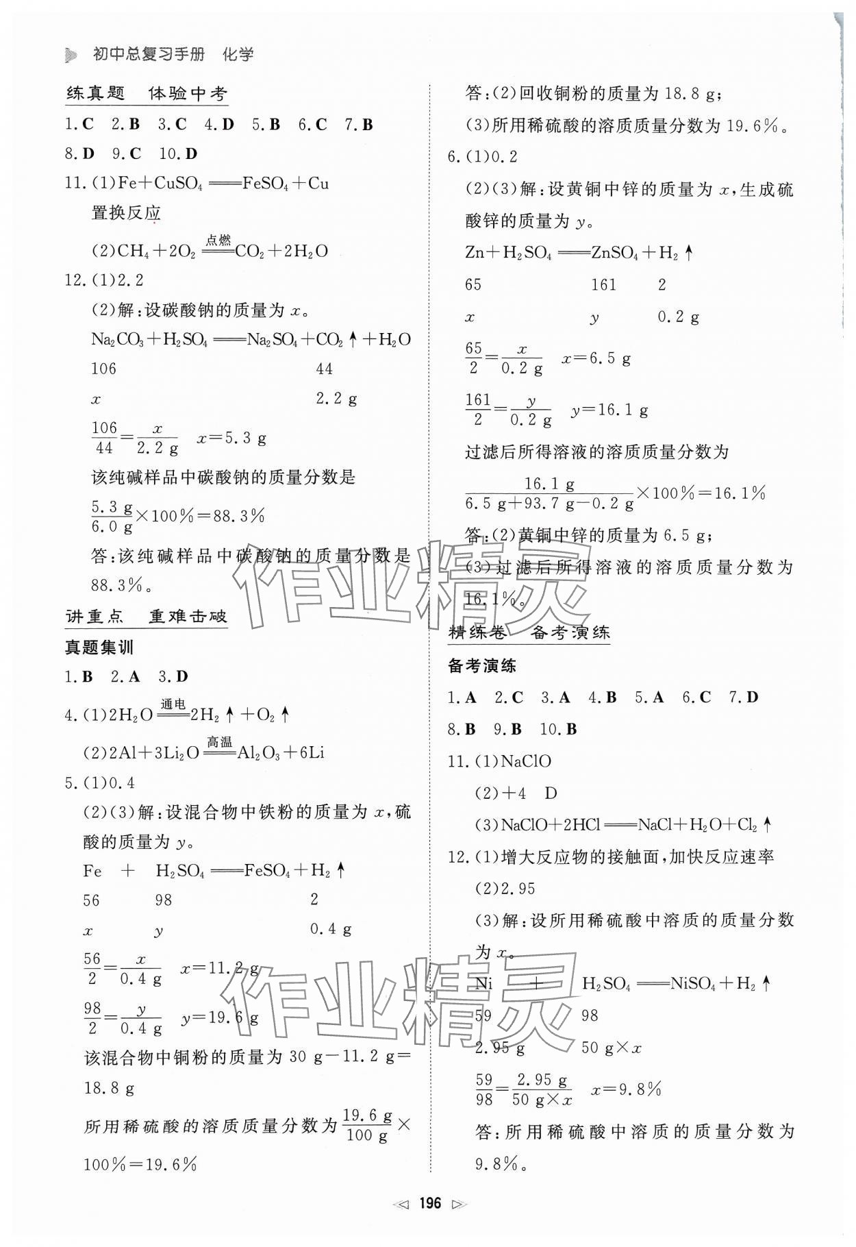 2024年初中总复习手册新世纪出版社化学 第6页