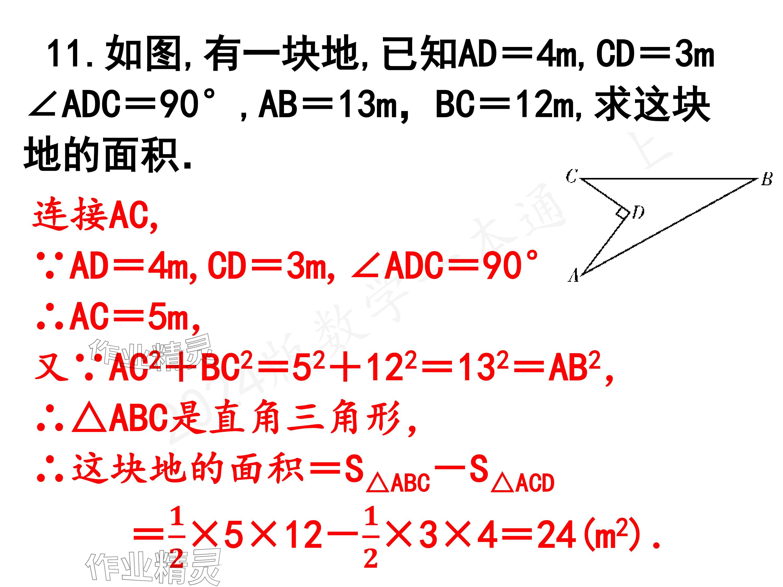 2024年一本通武漢出版社八年級(jí)數(shù)學(xué)上冊(cè)北師大版精簡(jiǎn)版 參考答案第25頁(yè)