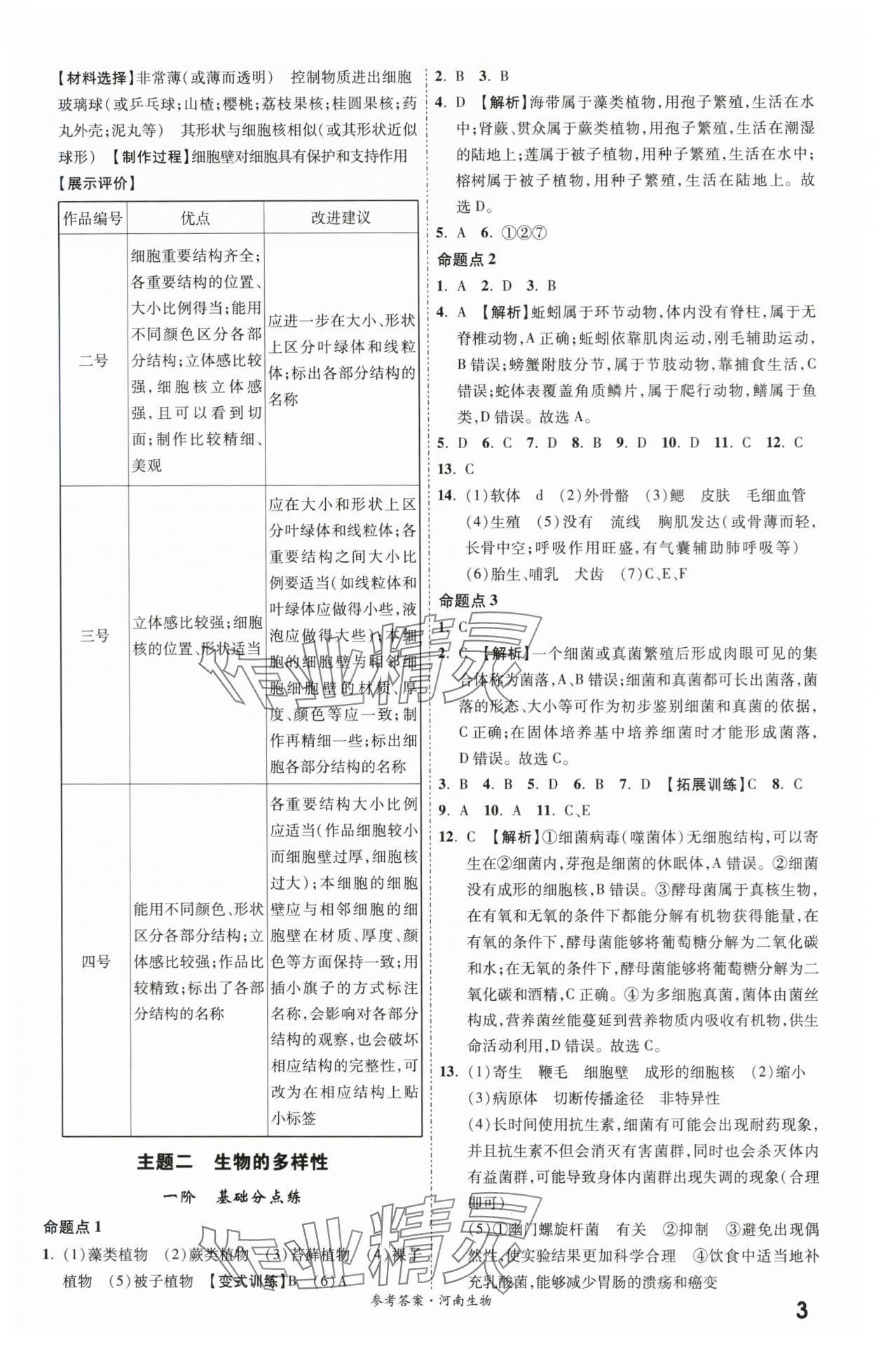 2024年一战成名考前新方案生物河南专版 参考答案第3页