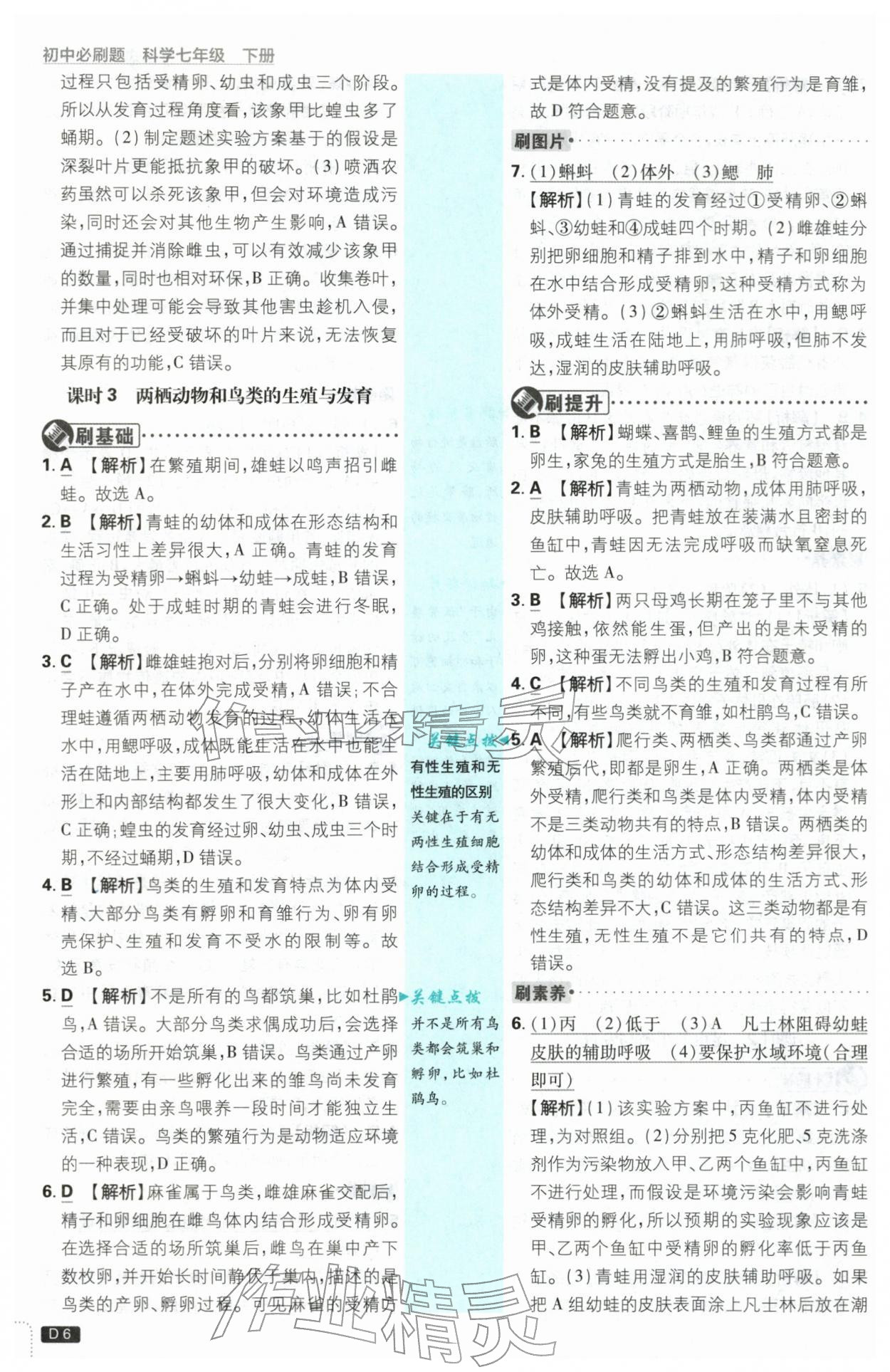 2026年初中必刷题七年级科学下册浙教版浙江专版&nbsp;第6页