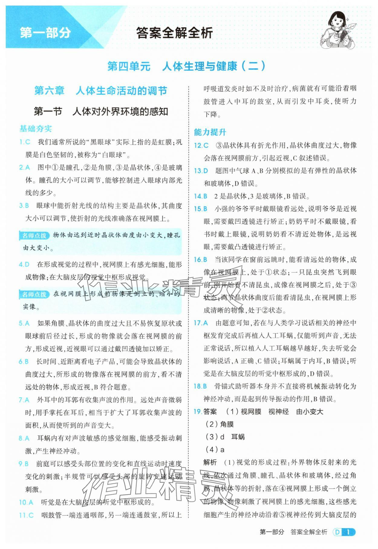 2025年5年中考3年模擬八年級生物上冊人教版 第1頁