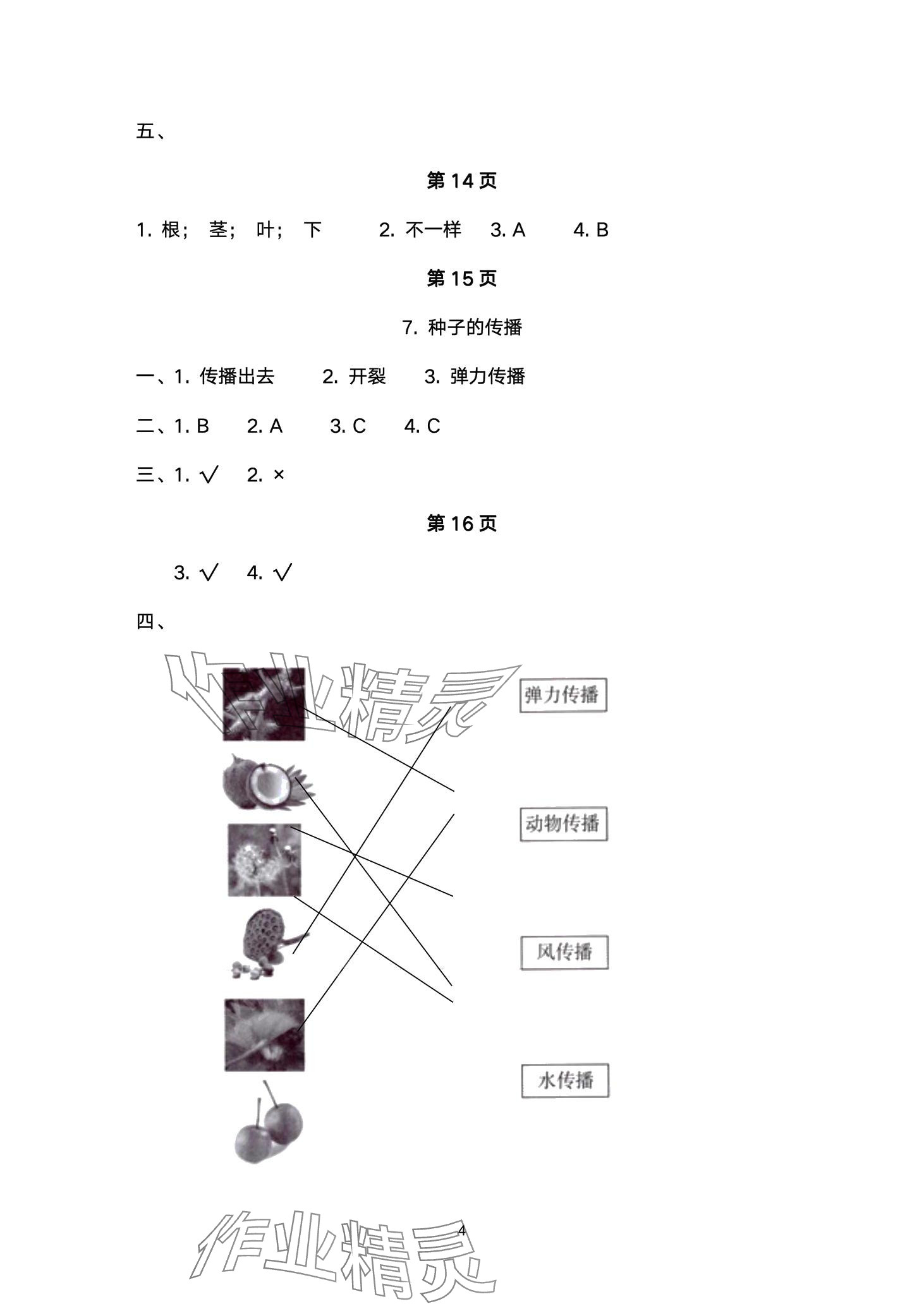 2024年云南省標準教輔同步指導訓練與檢測四年級科學下冊教科版 第4頁