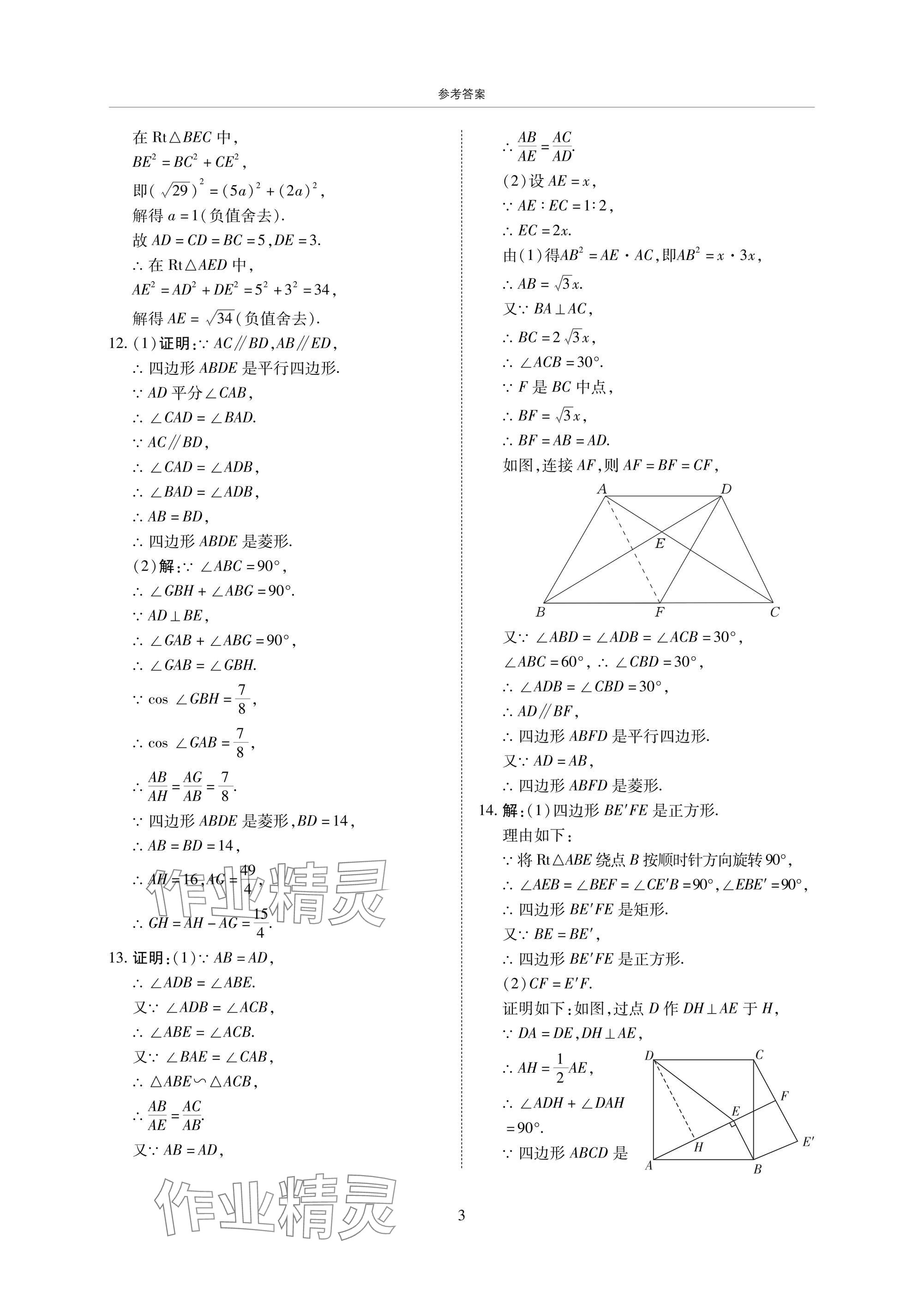 2025年復(fù)習(xí)直通車期末復(fù)習(xí)與假期作業(yè)九年級數(shù)學(xué)北師大版 參考答案第3頁