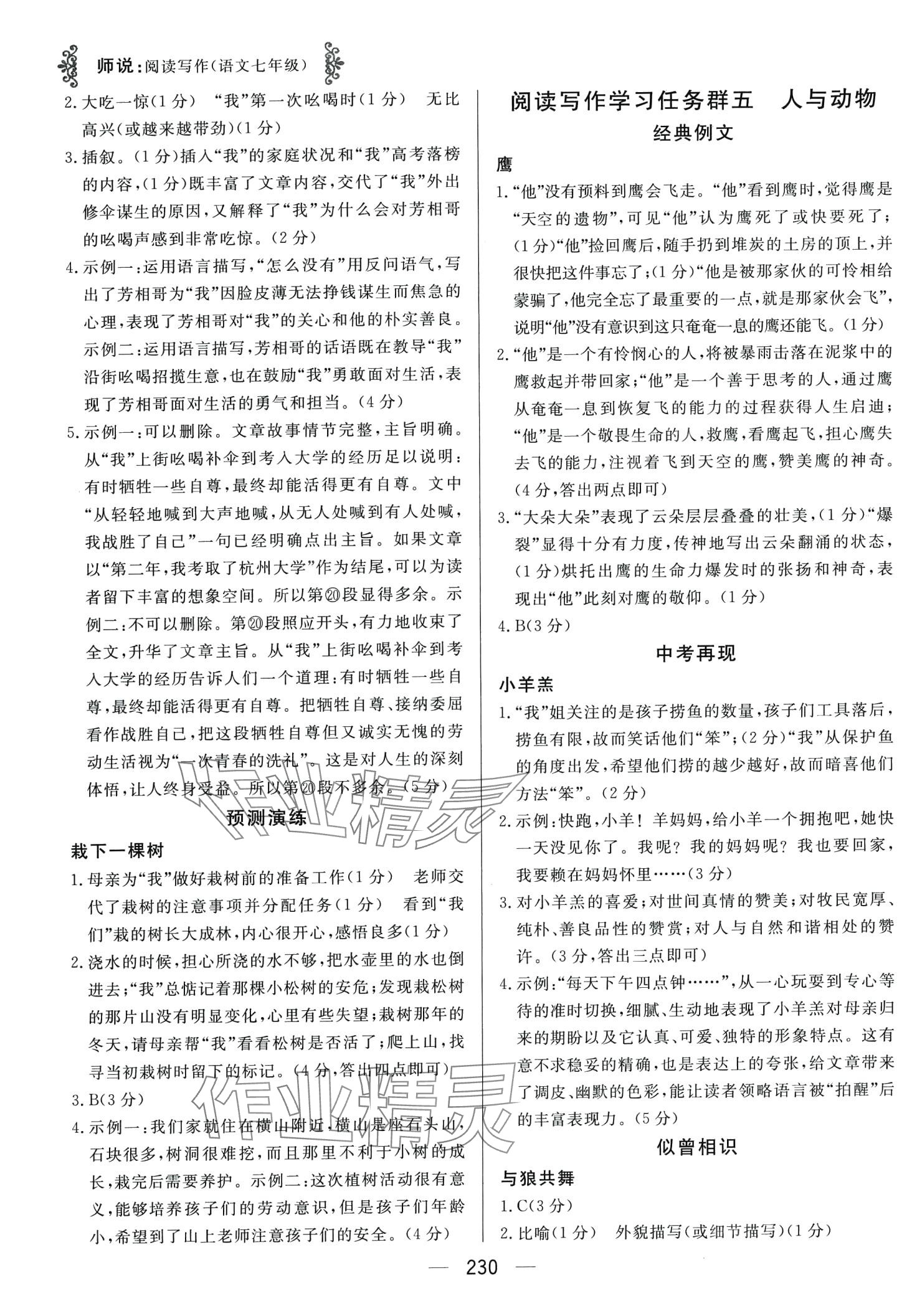 2024年师说阅读写作七年级语文&nbsp;第4页