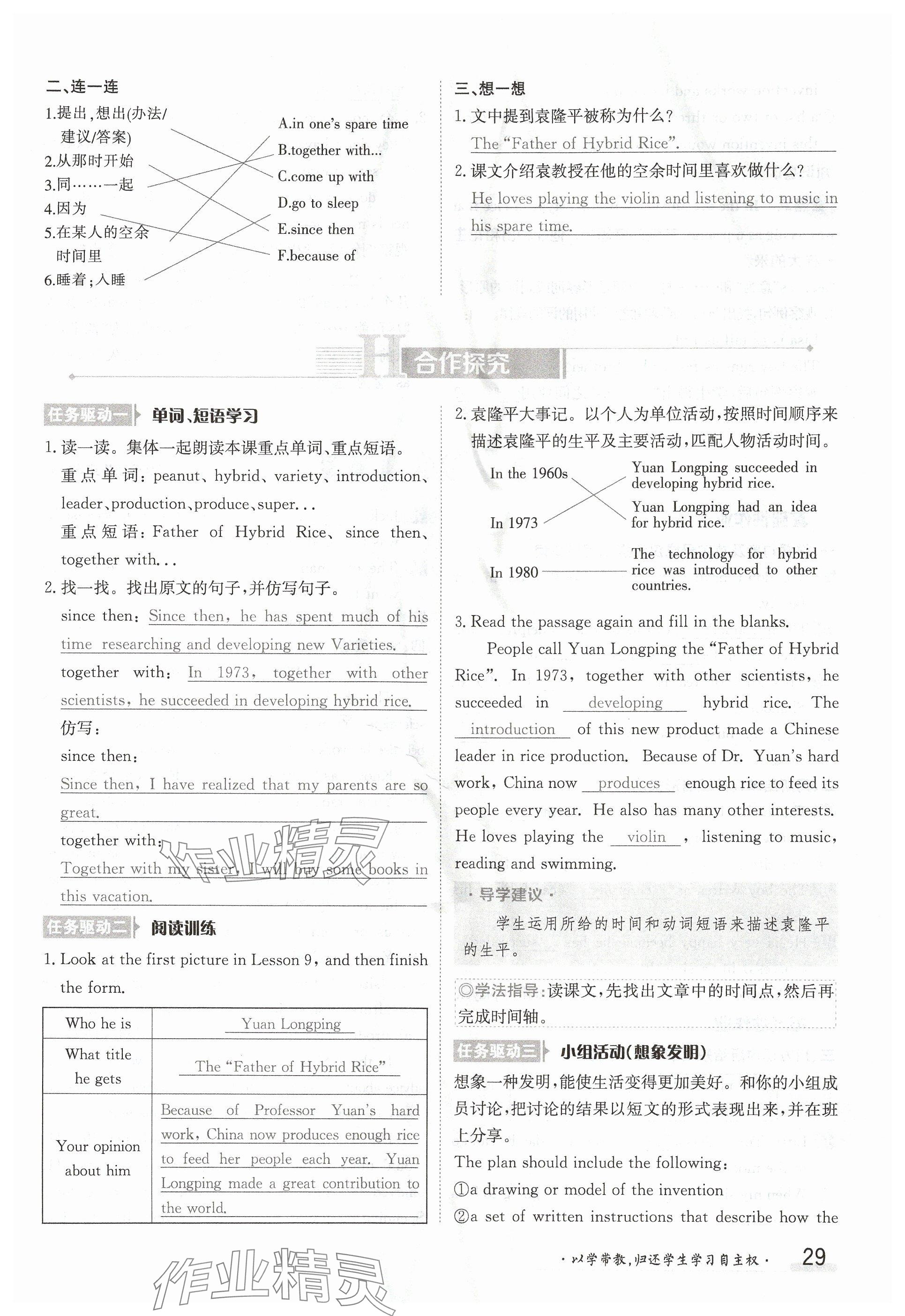 2024年金太陽導(dǎo)學(xué)案九年級英語全一冊冀教版 參考答案第29頁