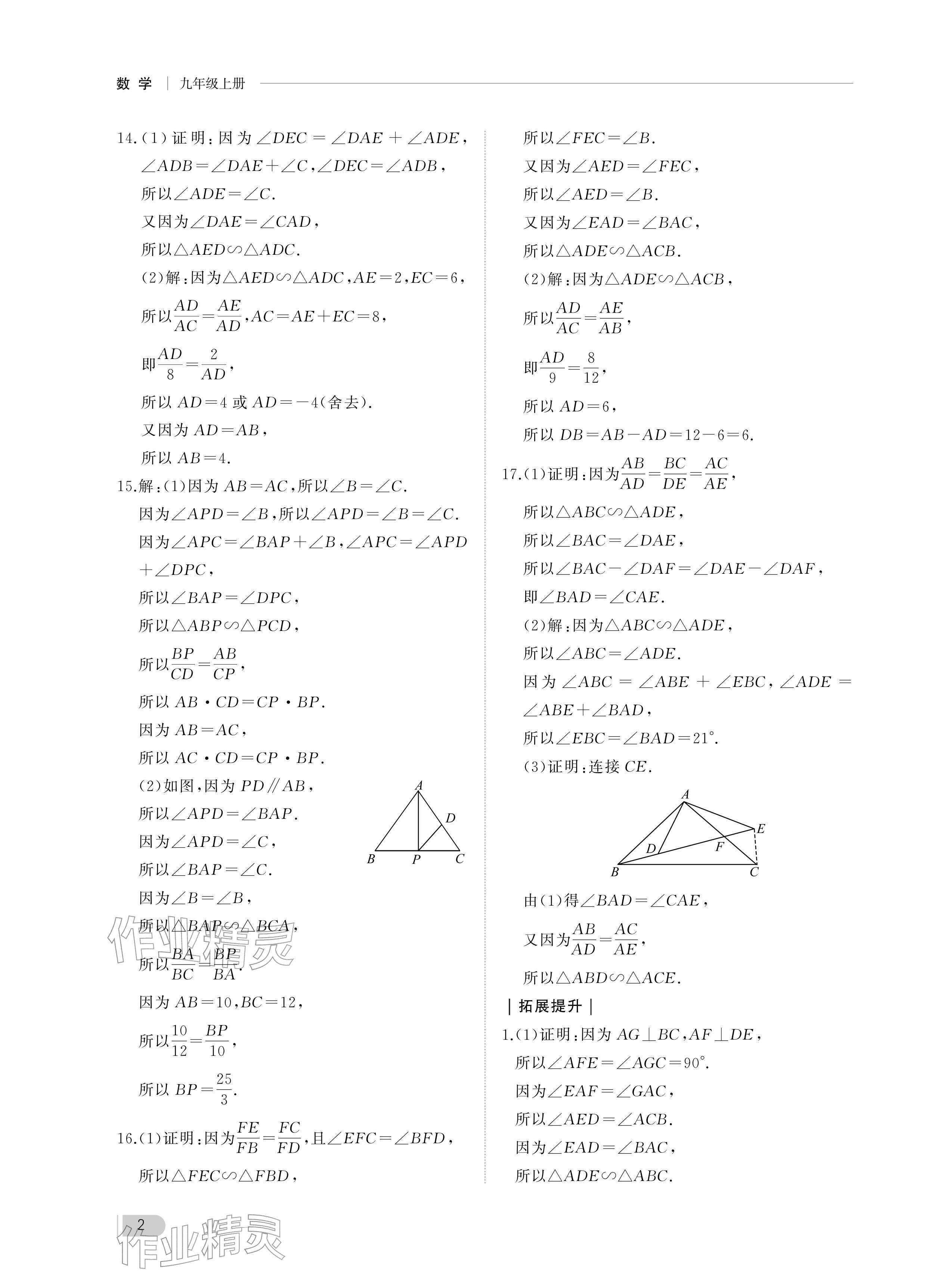 2025年行知天下九年级数学上册青岛版 参考答案第2页